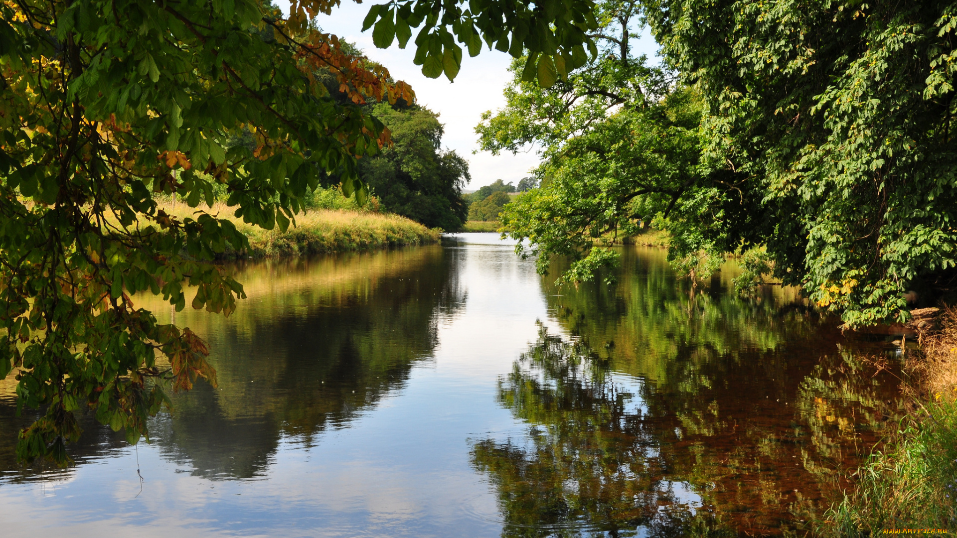 природа, реки, озера, лес, река