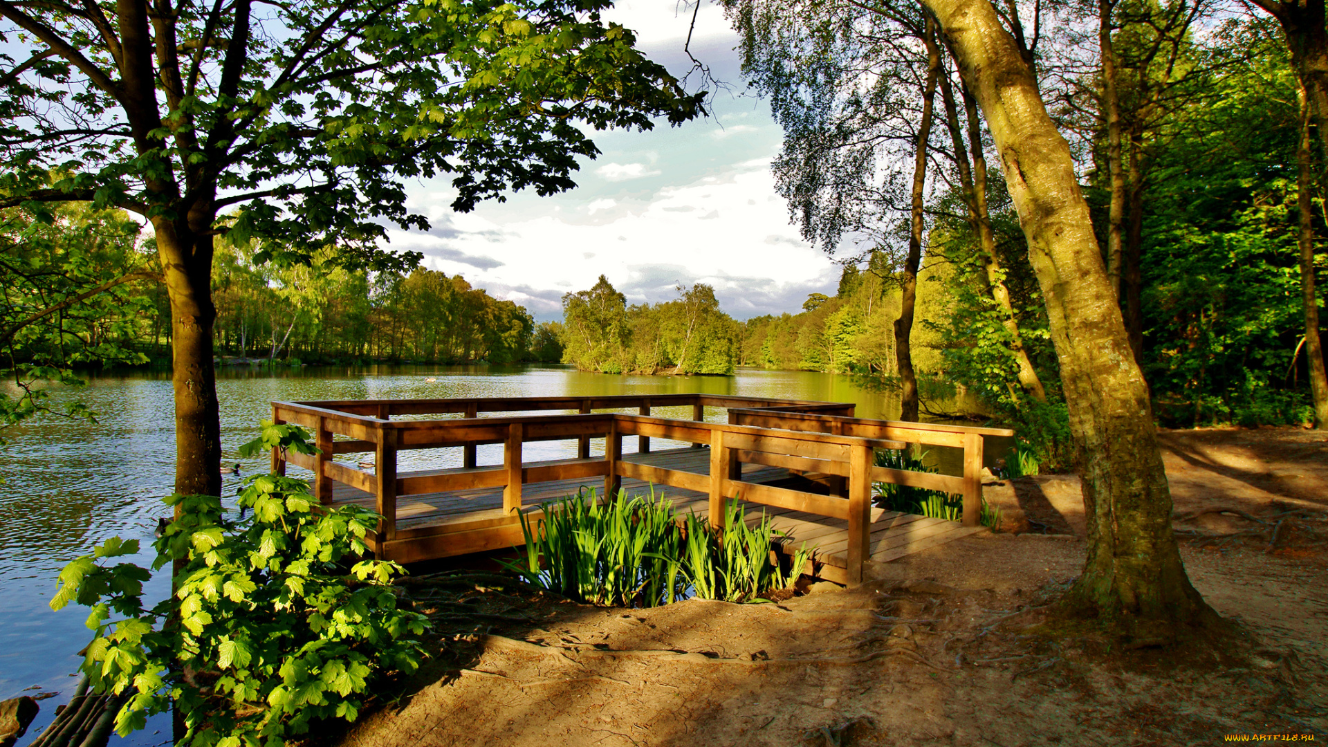 природа, реки, озера, лес, река