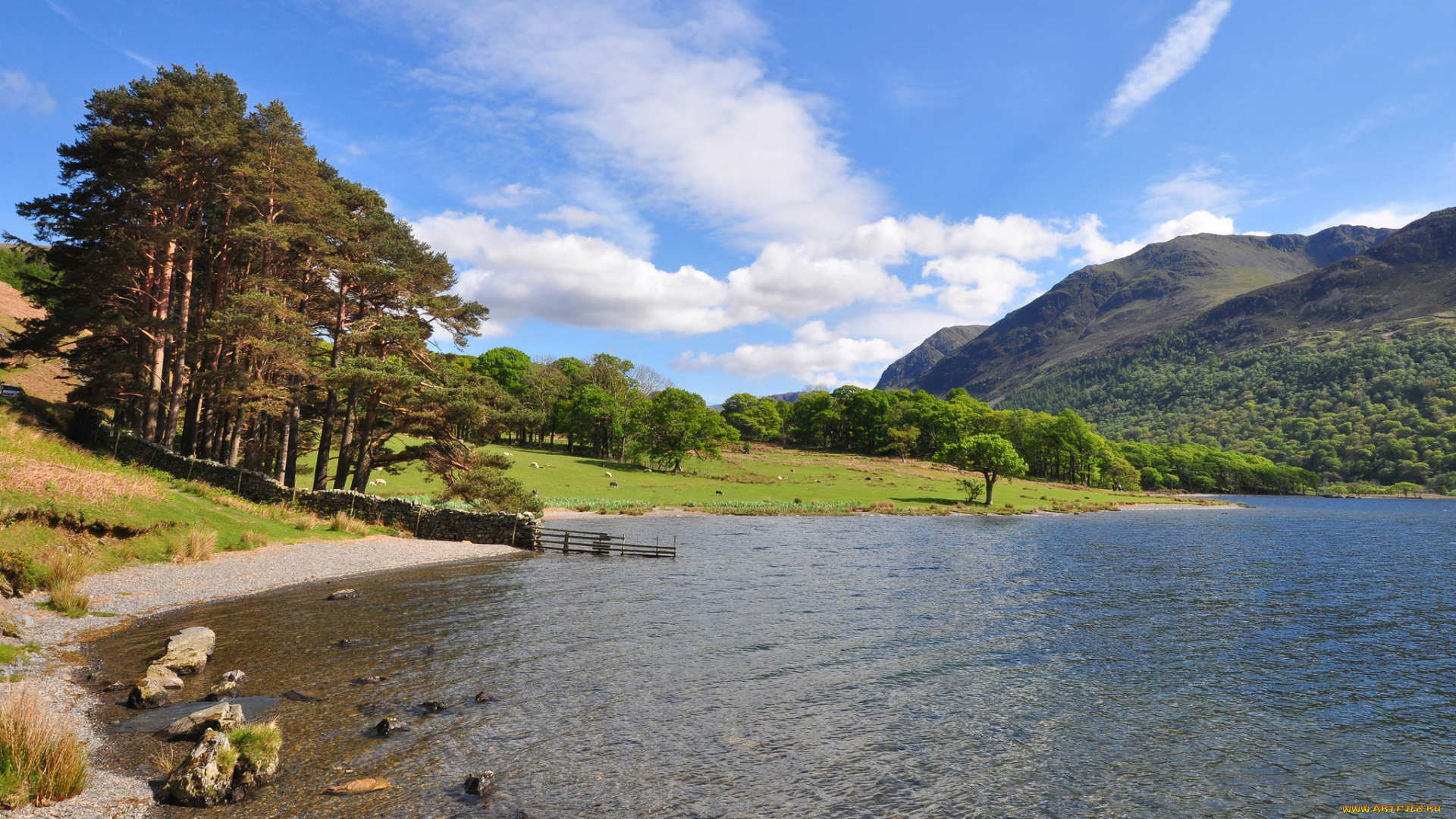 природа, реки, озера, лес, река