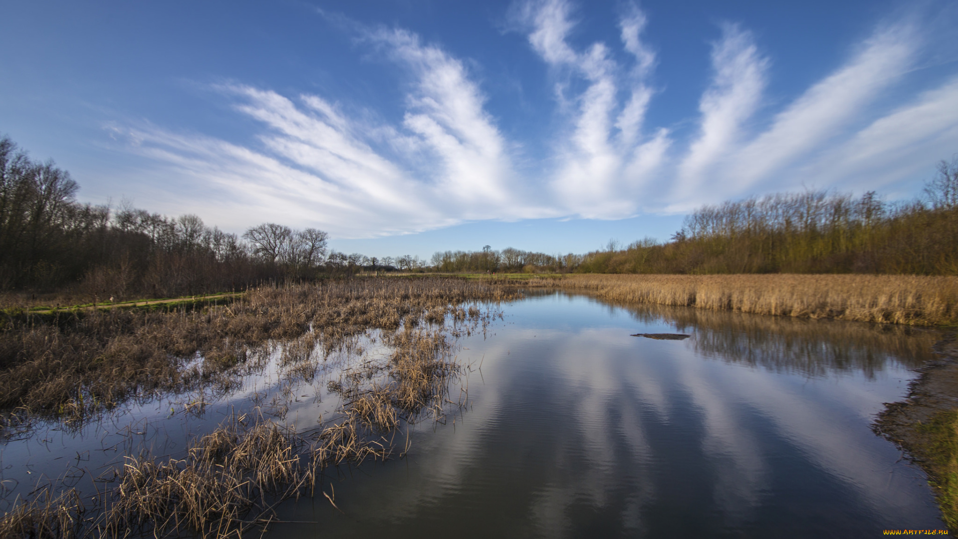 природа, реки, озера, лес, река