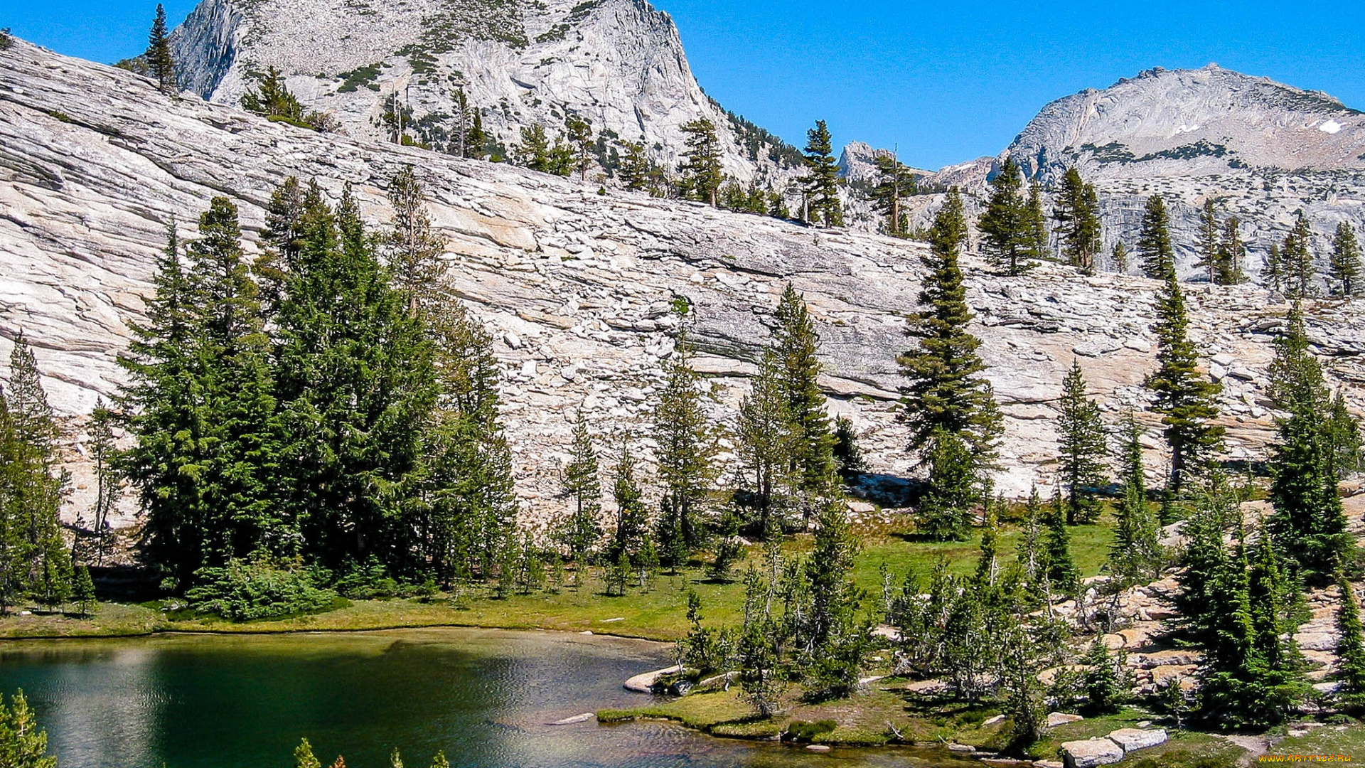 природа, реки, озера, лес, река