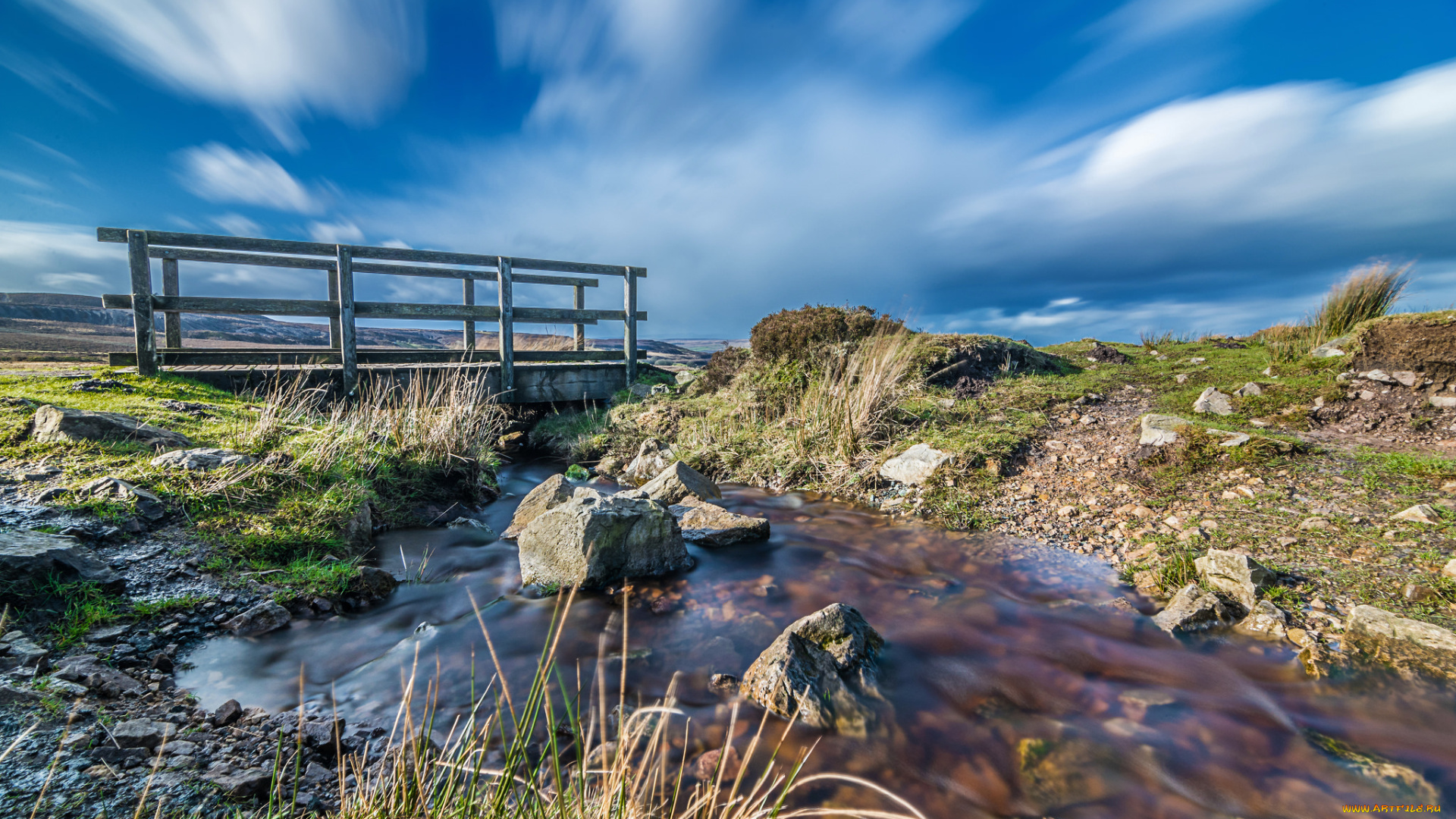 природа, реки, озера, лес, река