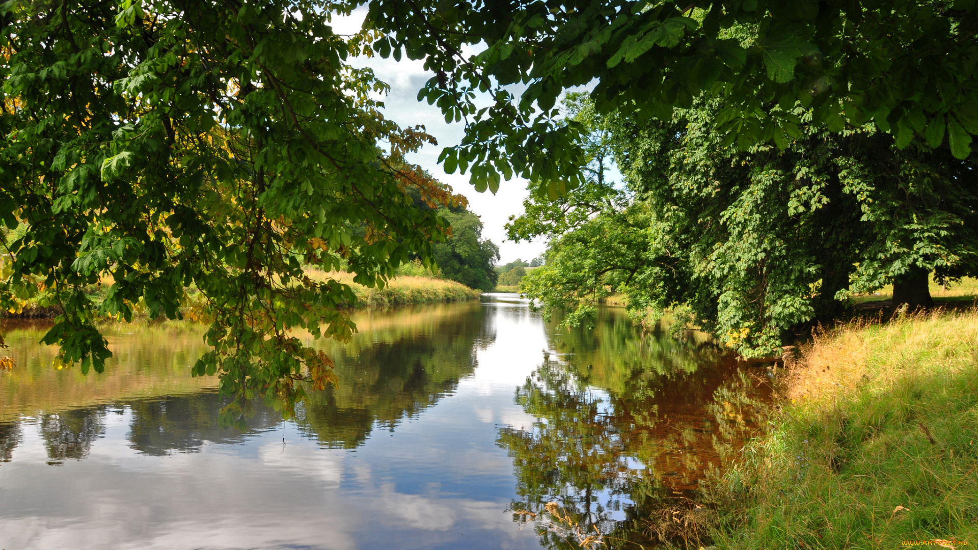 природа, реки, озера, лес, река