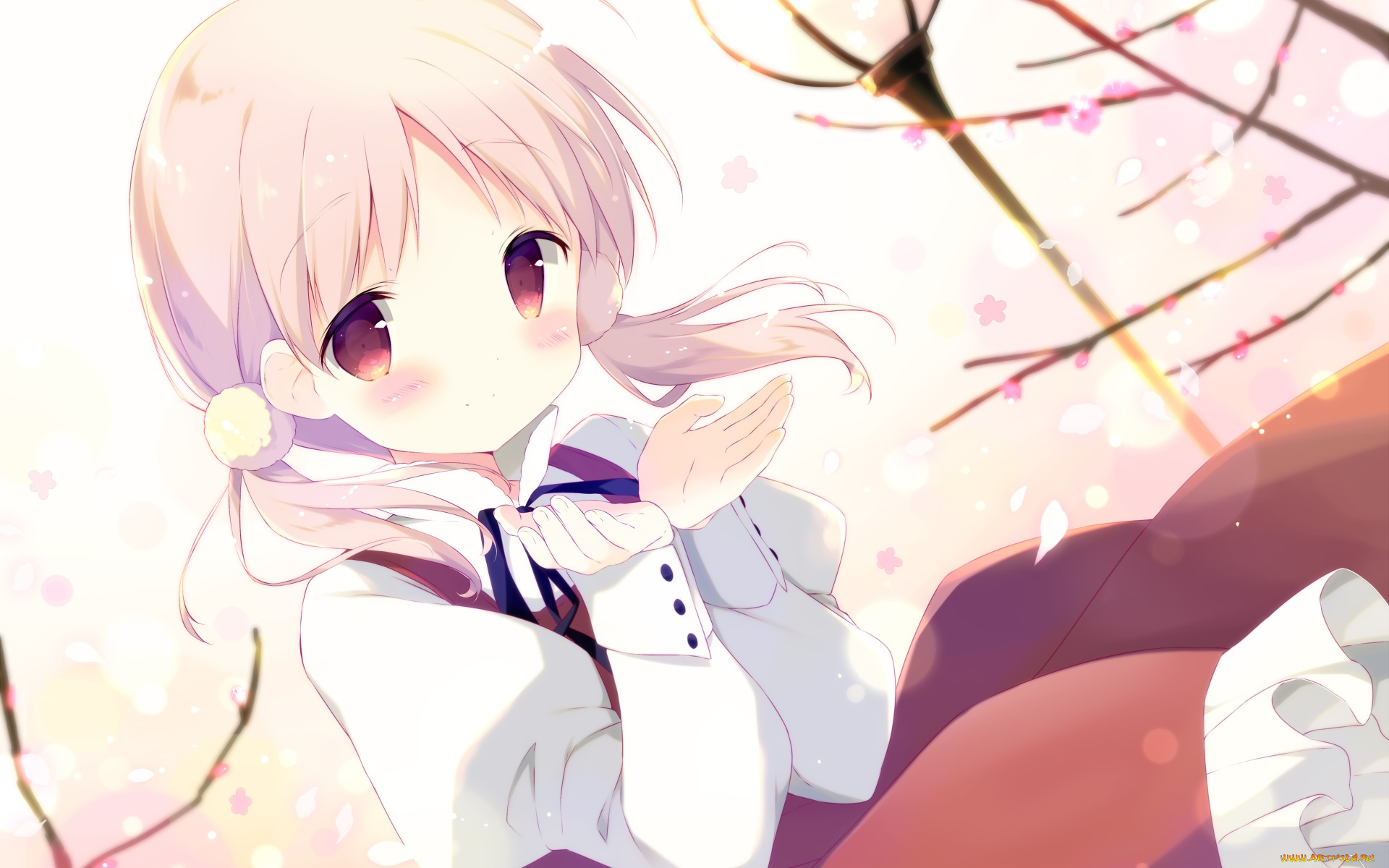 автор, , shiratama, аниме, unknown, , другое, kiriyama, sakura, musubi