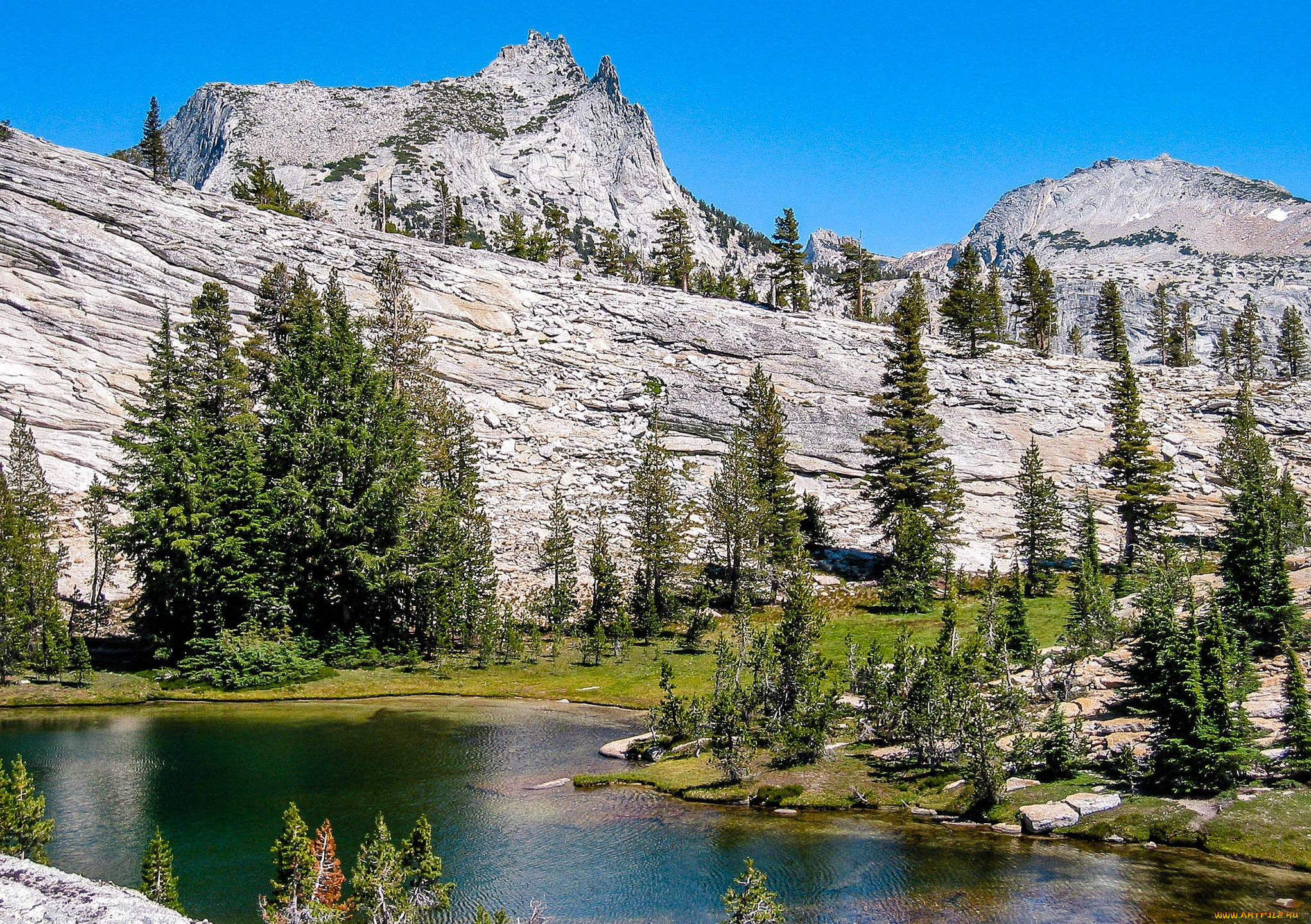 природа, реки, озера, лес, река