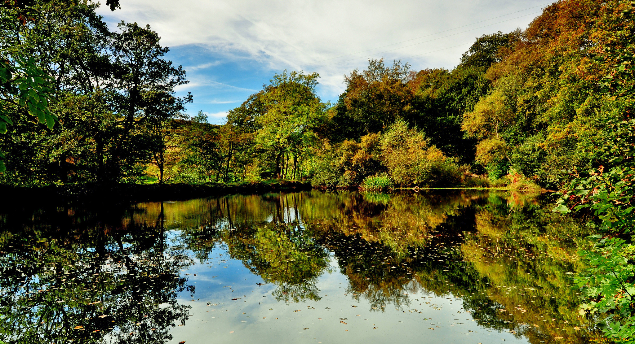 природа, реки, озера, лес, река