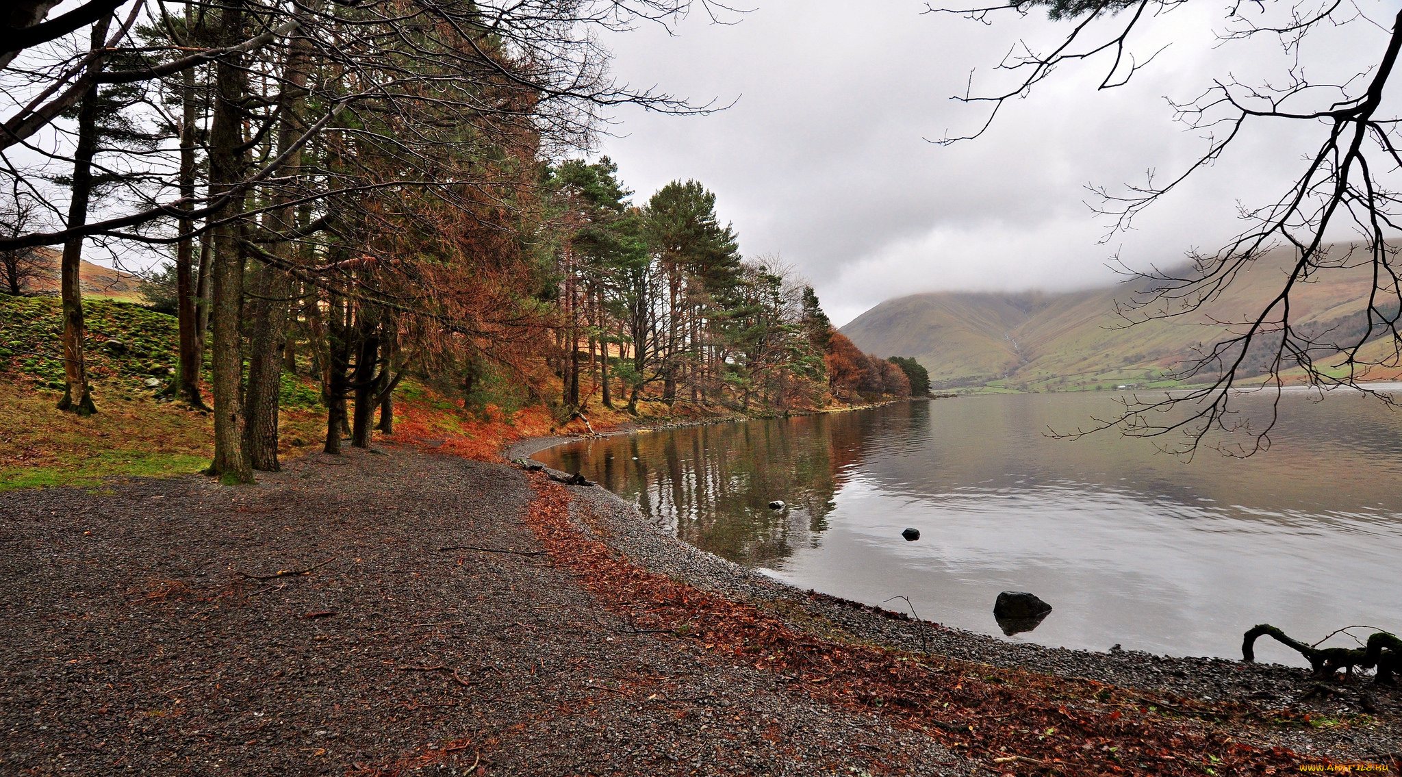 природа, реки, озера, лес, река