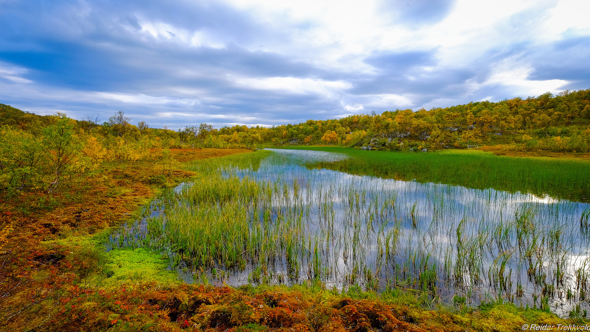 природа, реки, озера, река, лес