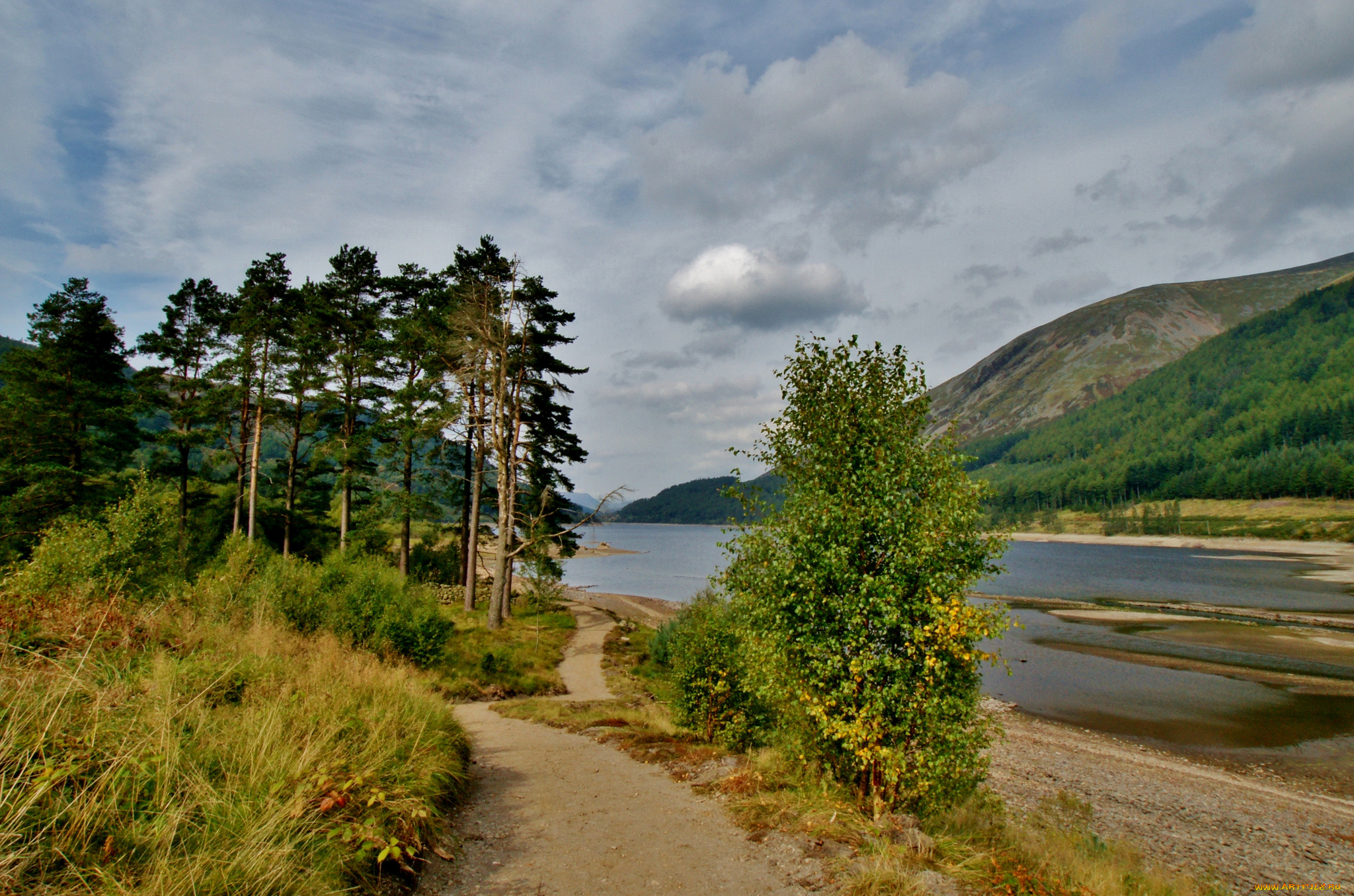 природа, реки, озера, лес, река