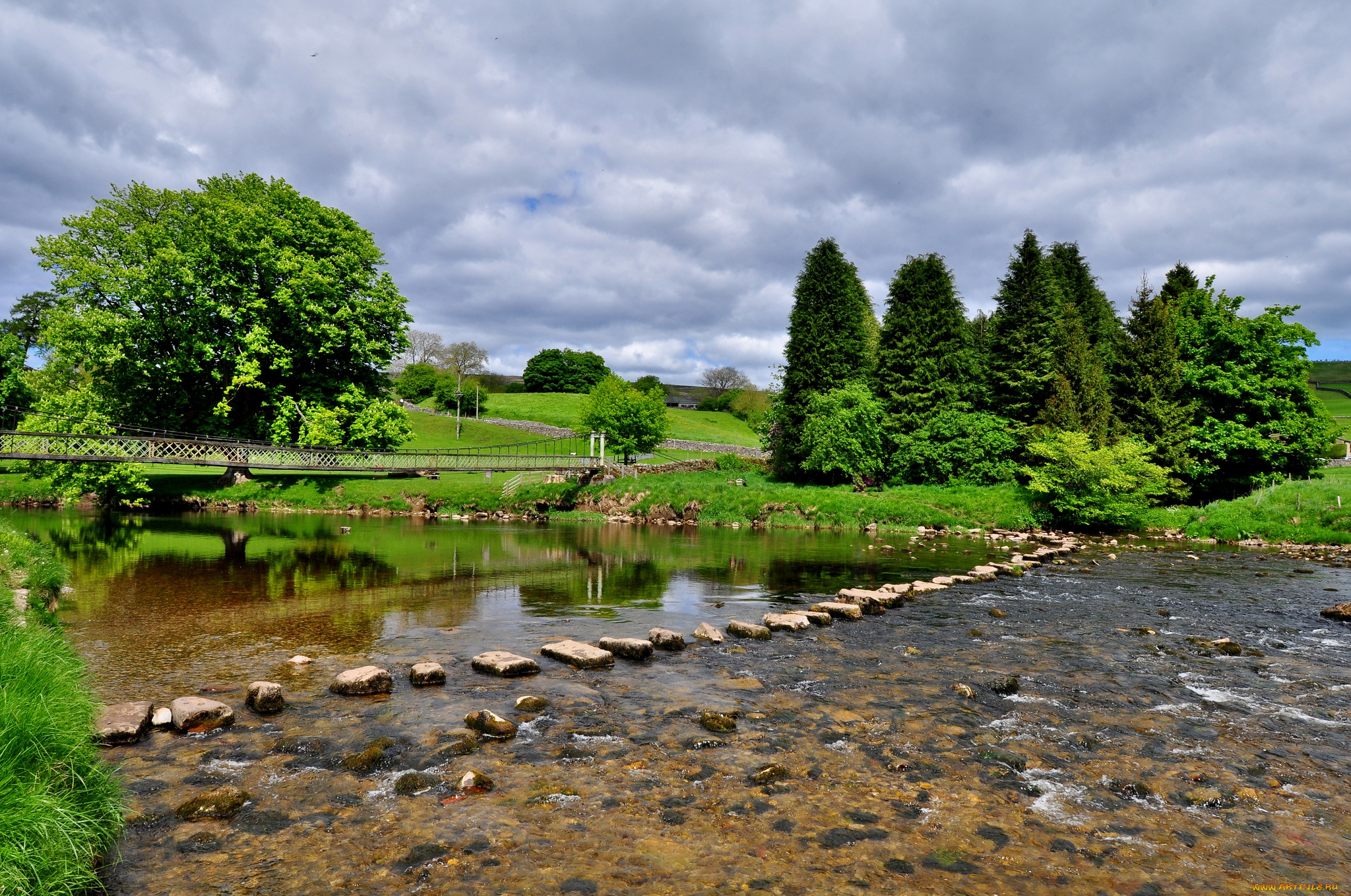 природа, реки, озера, лес, река