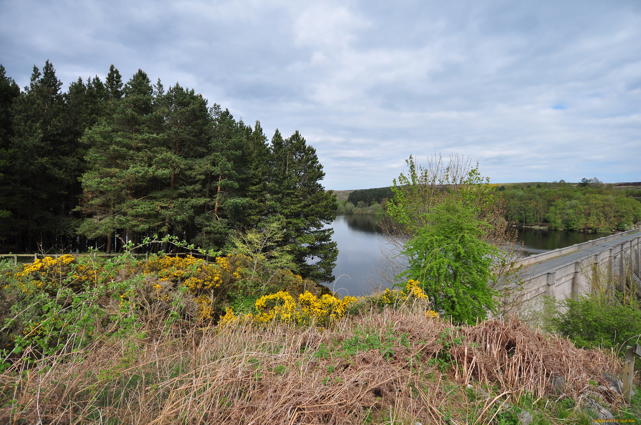 природа, реки, озера, лес, река