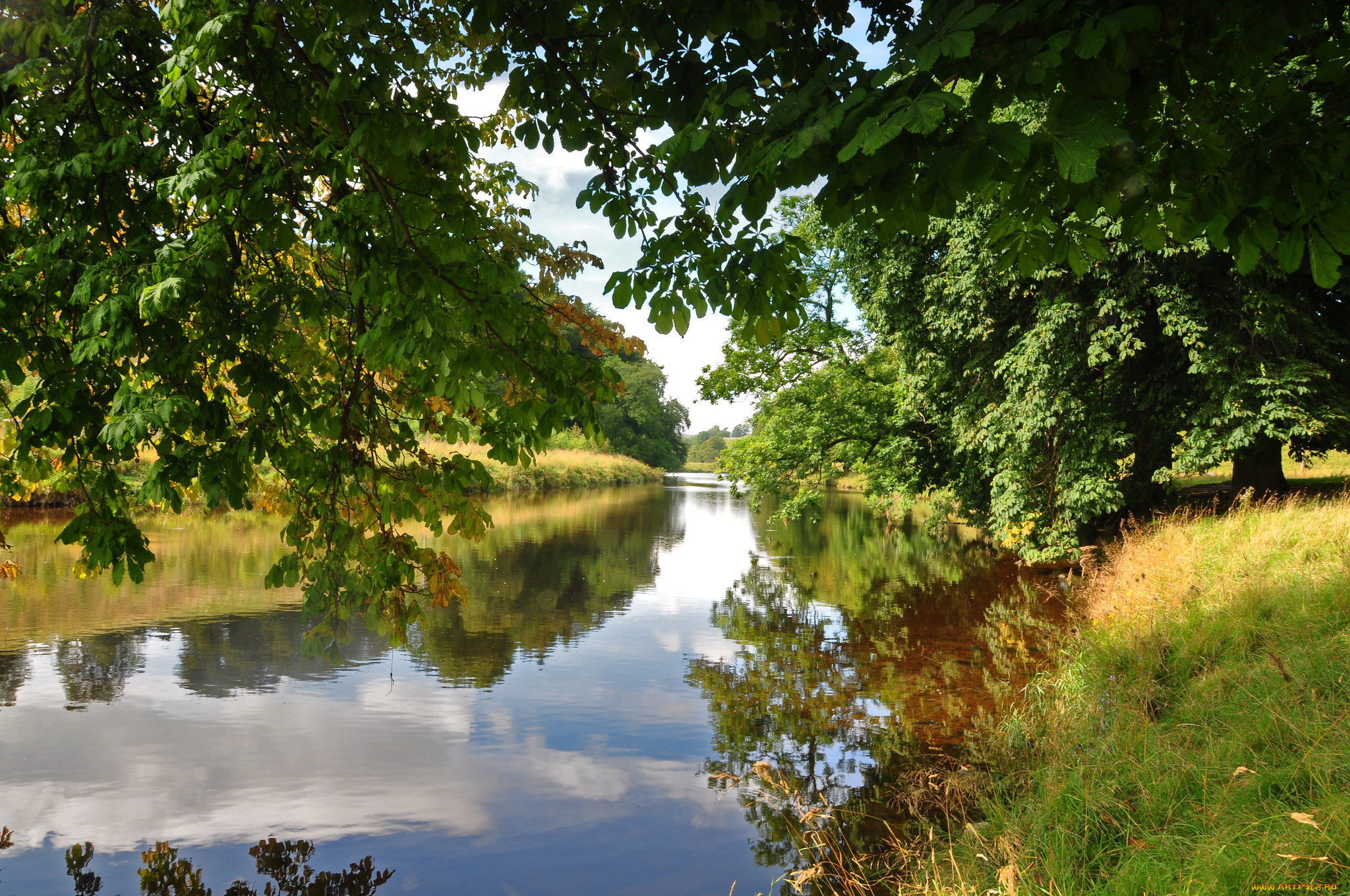 природа, реки, озера, лес, река