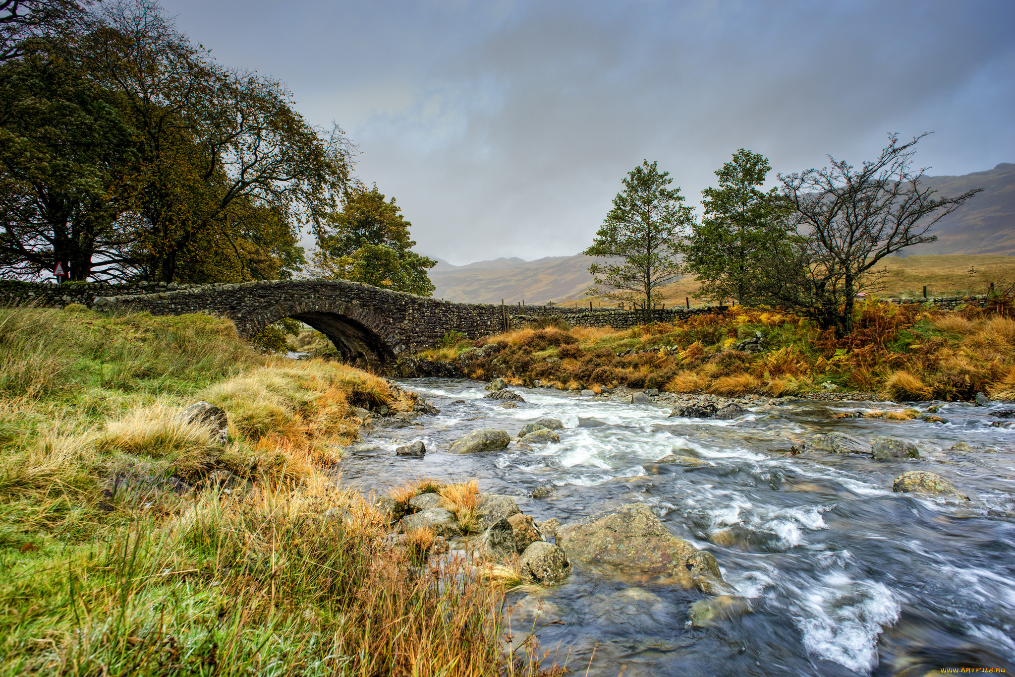 природа, реки, озера, лес, река