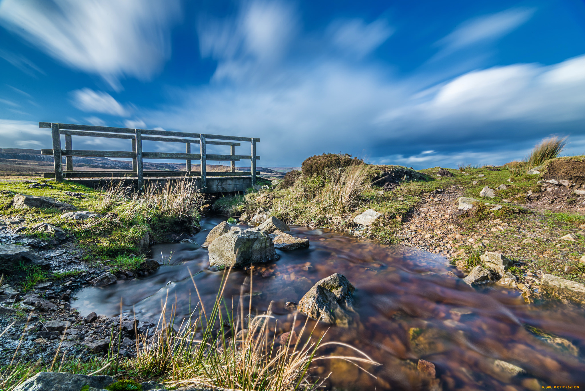 природа, реки, озера, лес, река