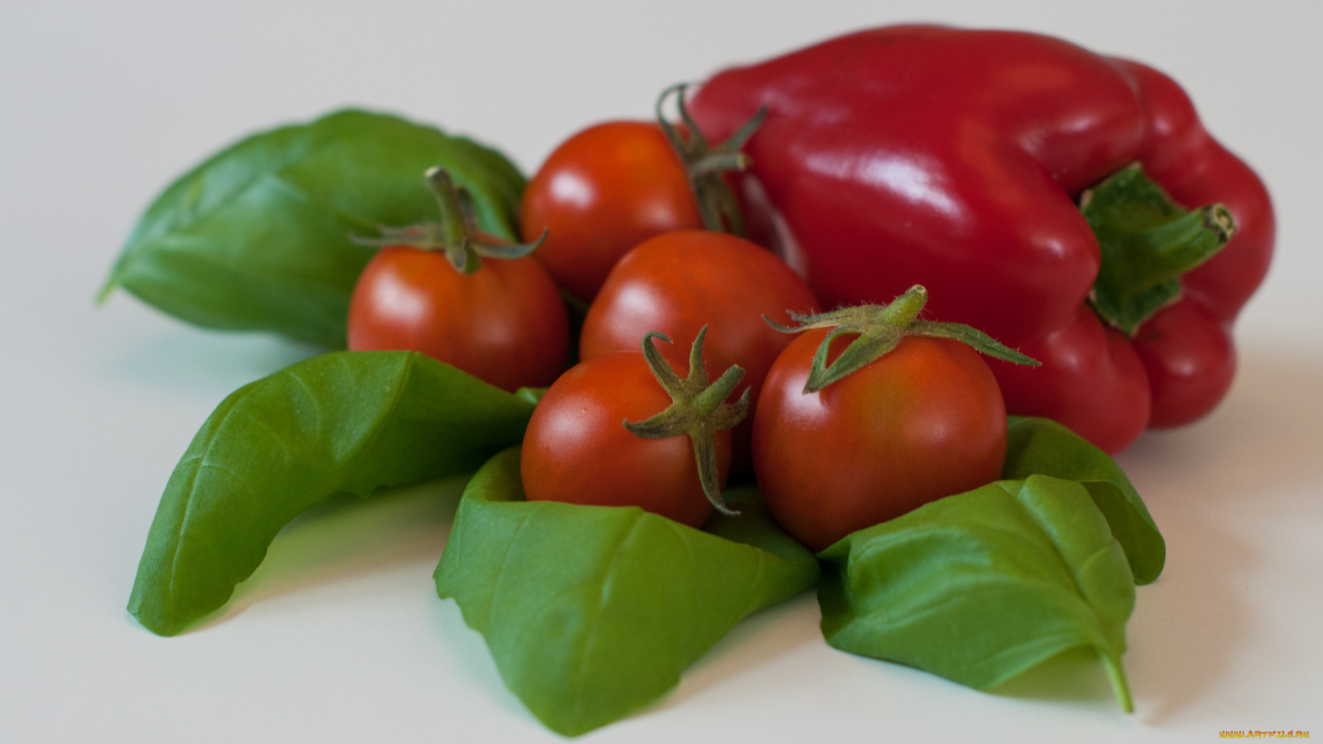 еда, овощи, томаты, помидоры