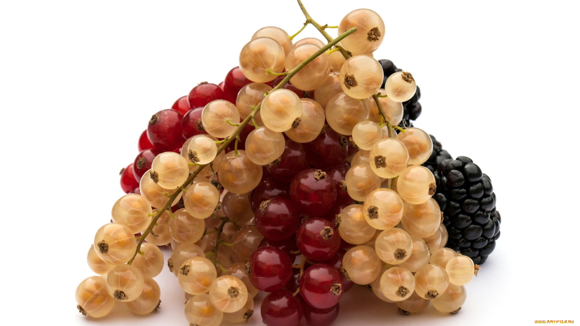 еда, смородина, ягодкы