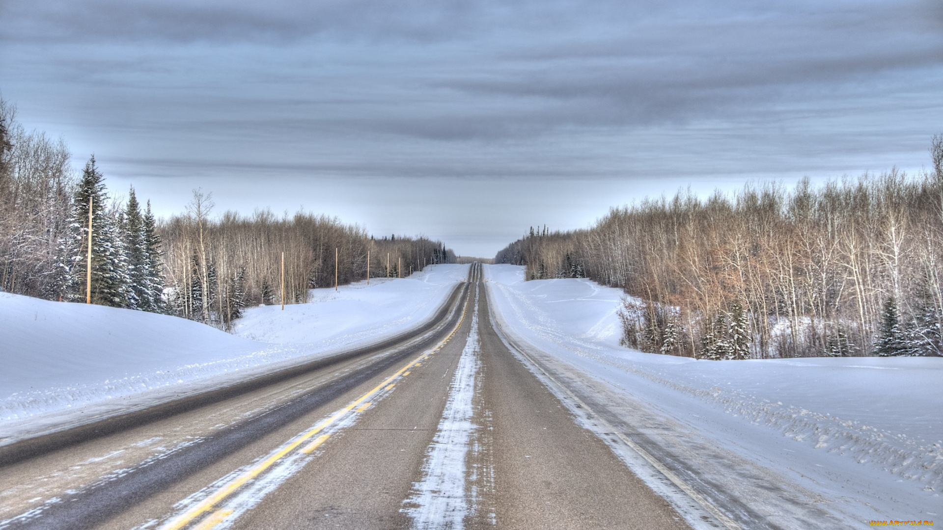 природа, дороги, дорога, деревья, снег