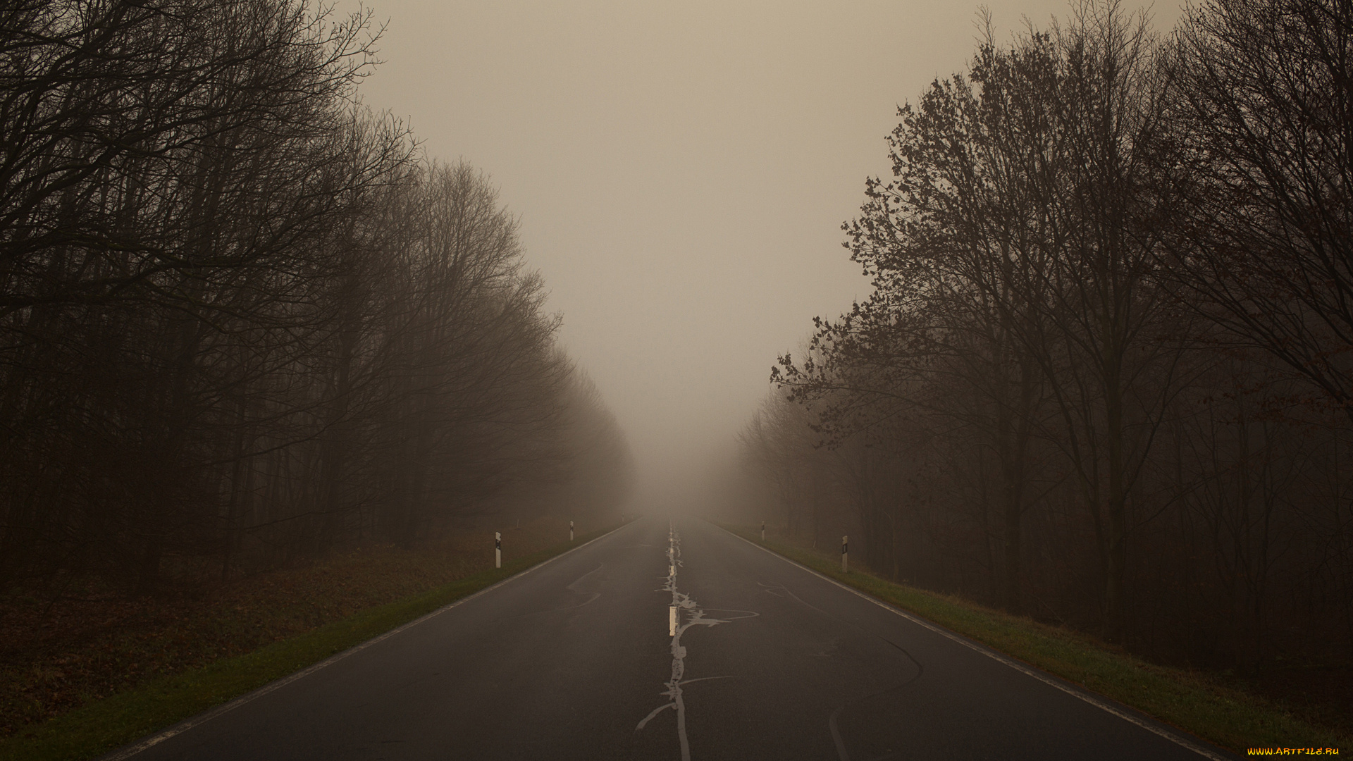 природа, дороги, дорога, туман