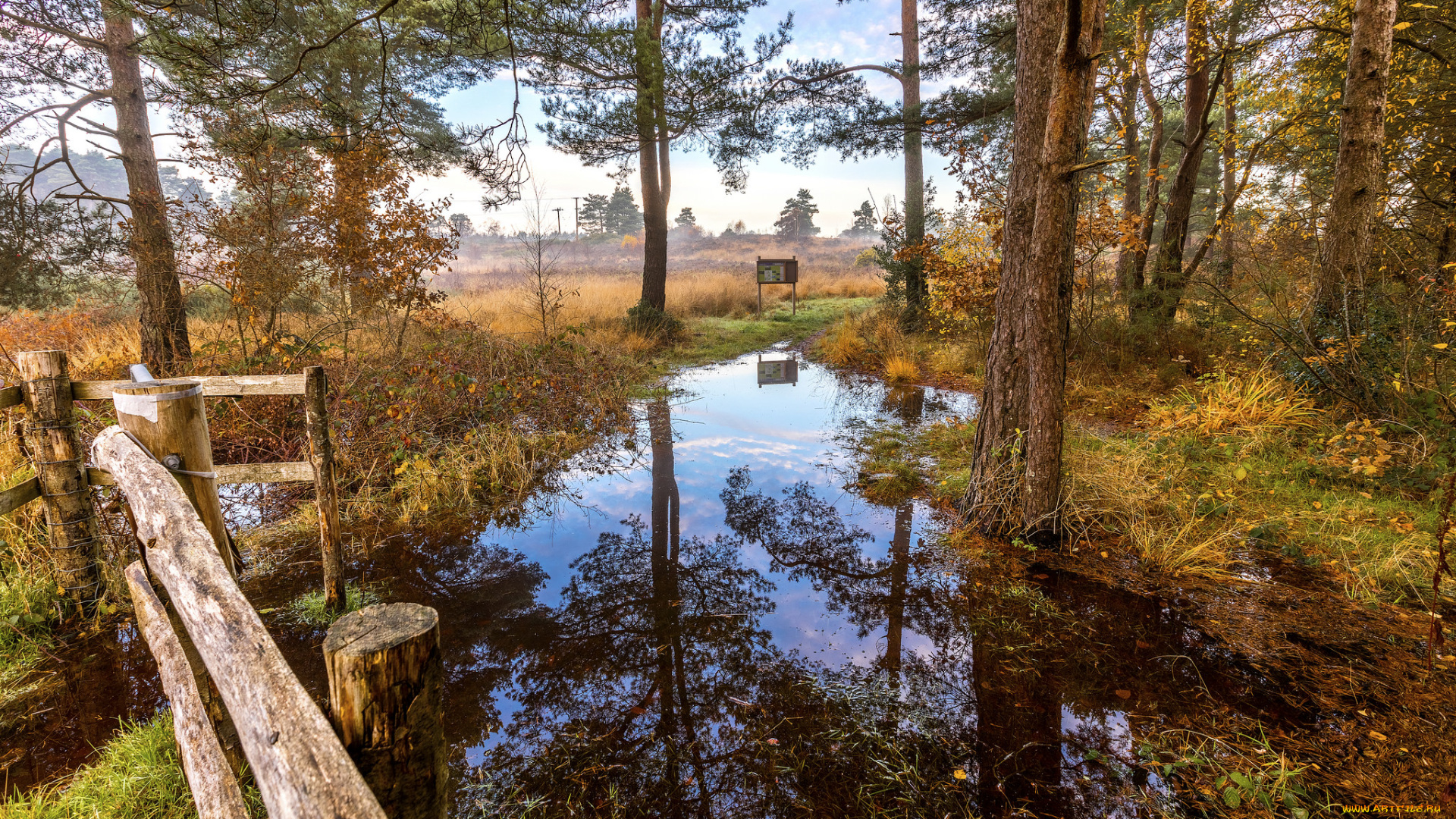 природа, реки, озера, река, лес