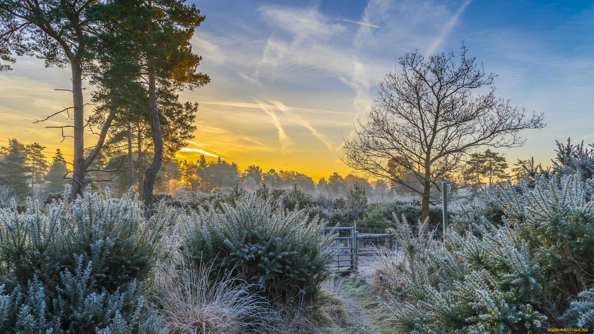 природа, восходы, закаты, рассвет