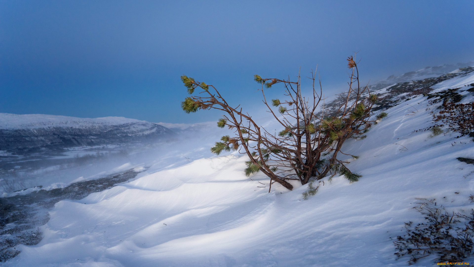 природа, зима, снег