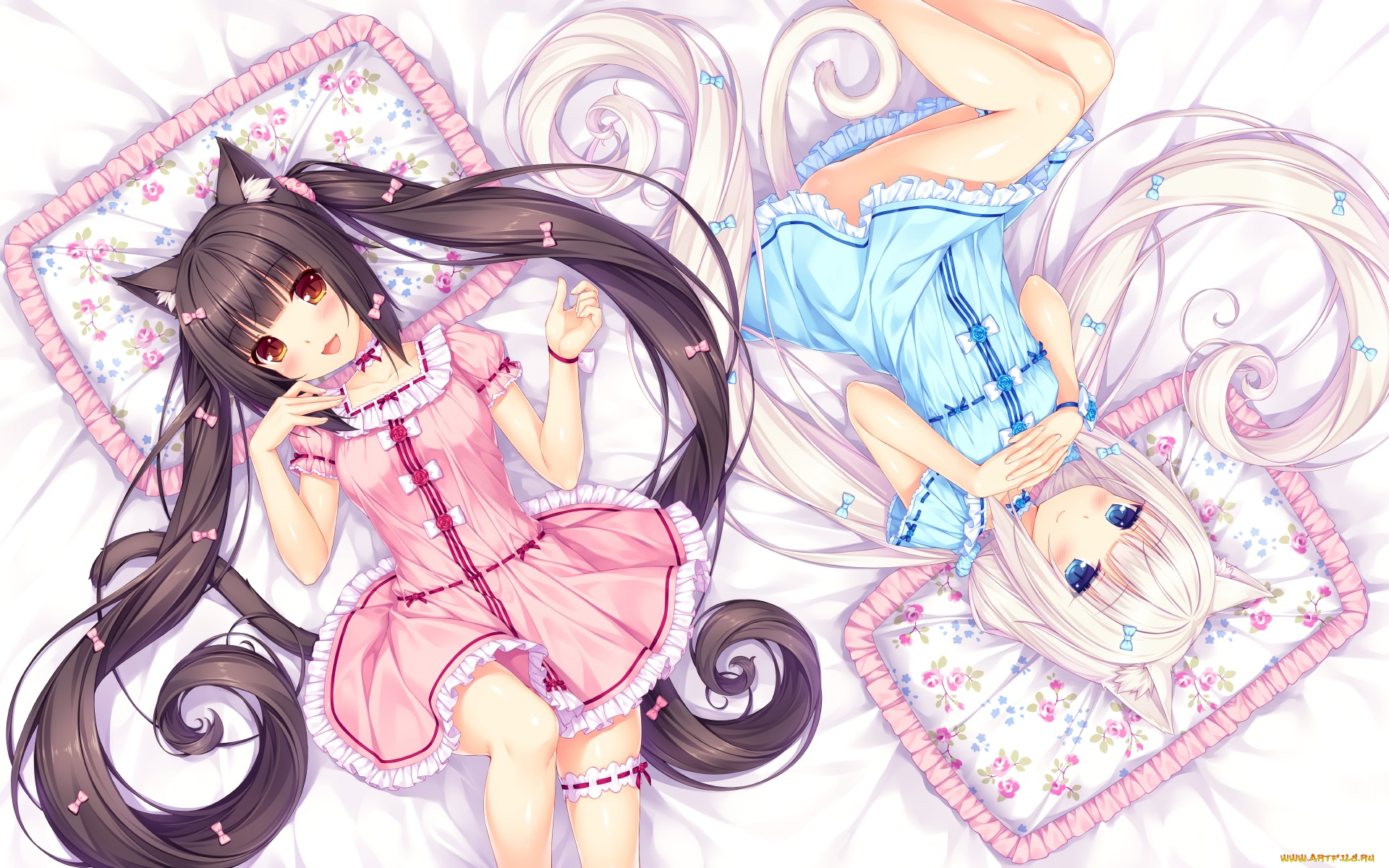 аниме, nekopara, фон, взгляд, девушки