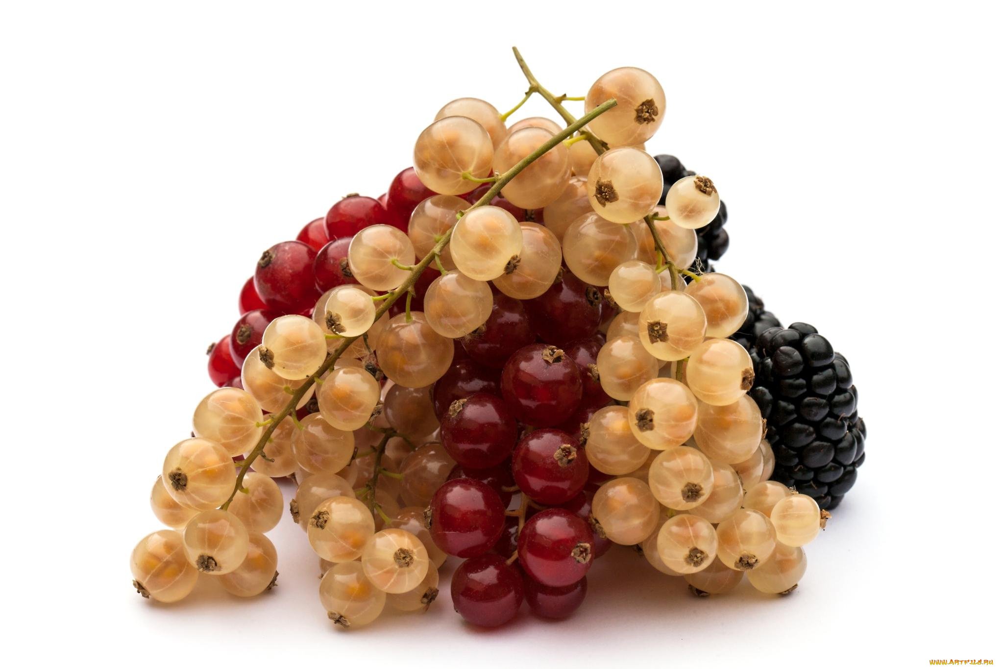 еда, смородина, ягодкы