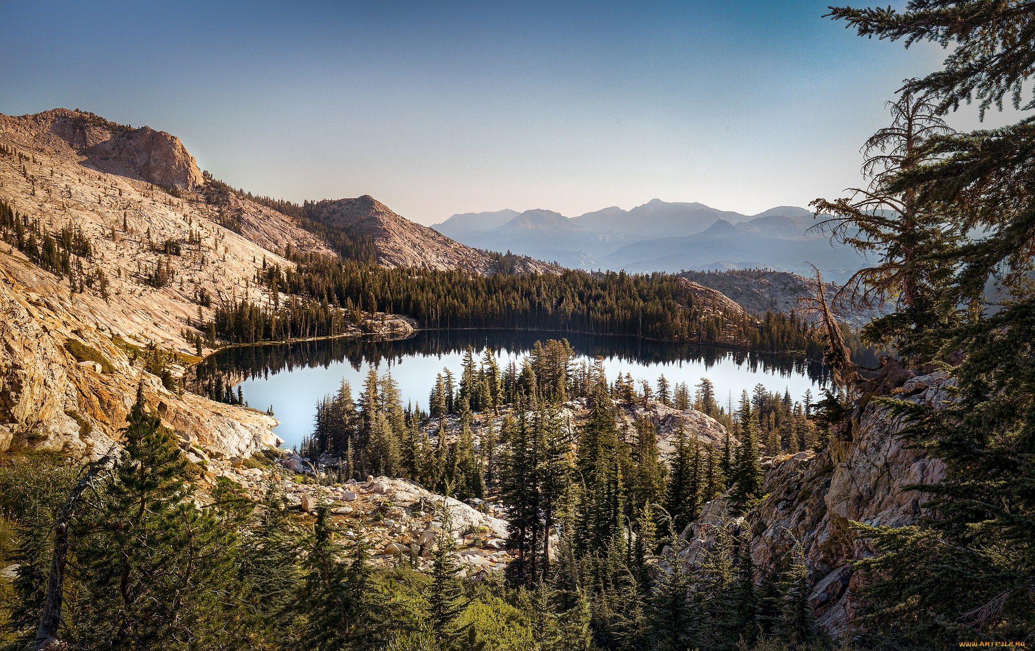 природа, реки, озера, река, лес