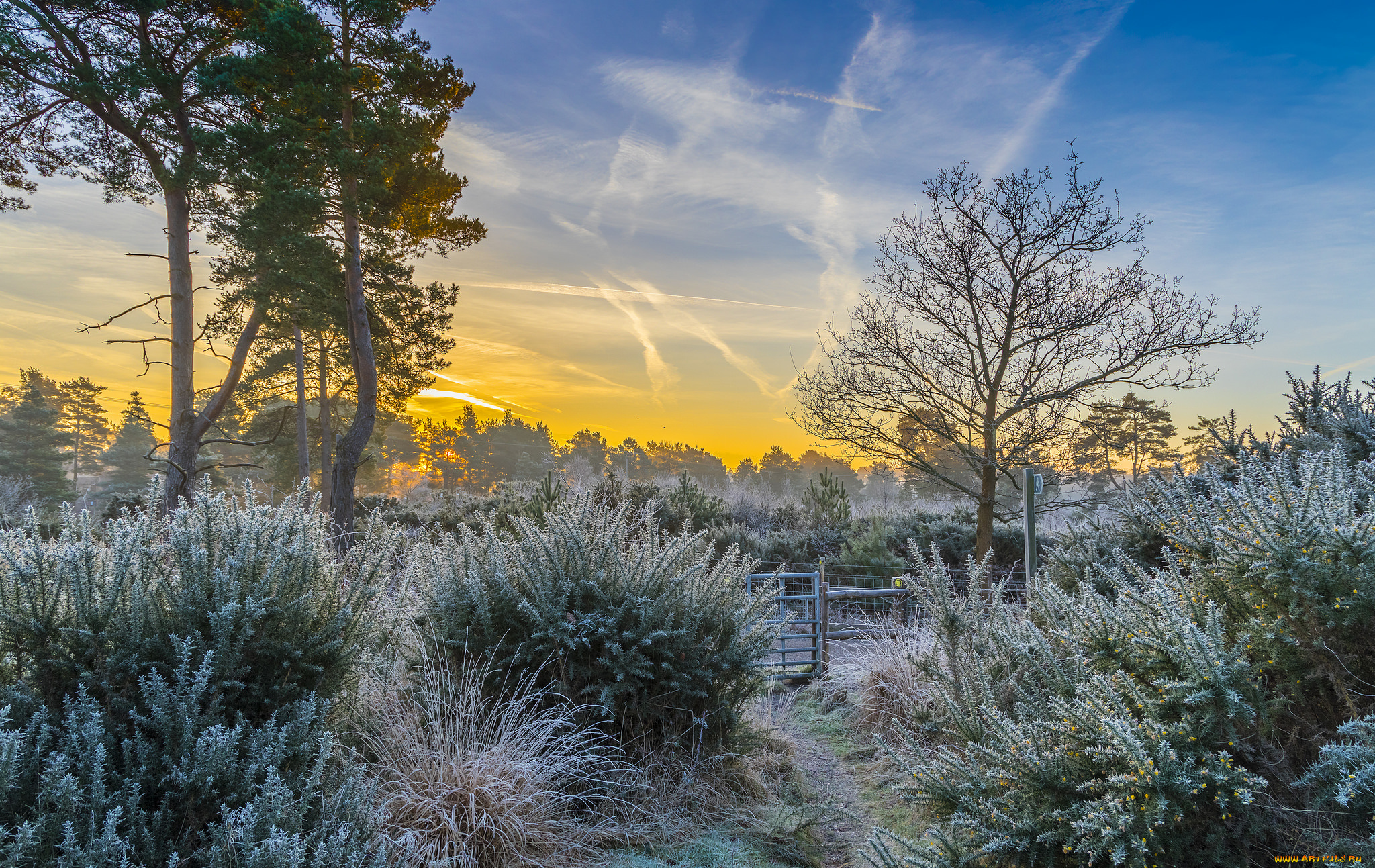 природа, восходы, закаты, рассвет