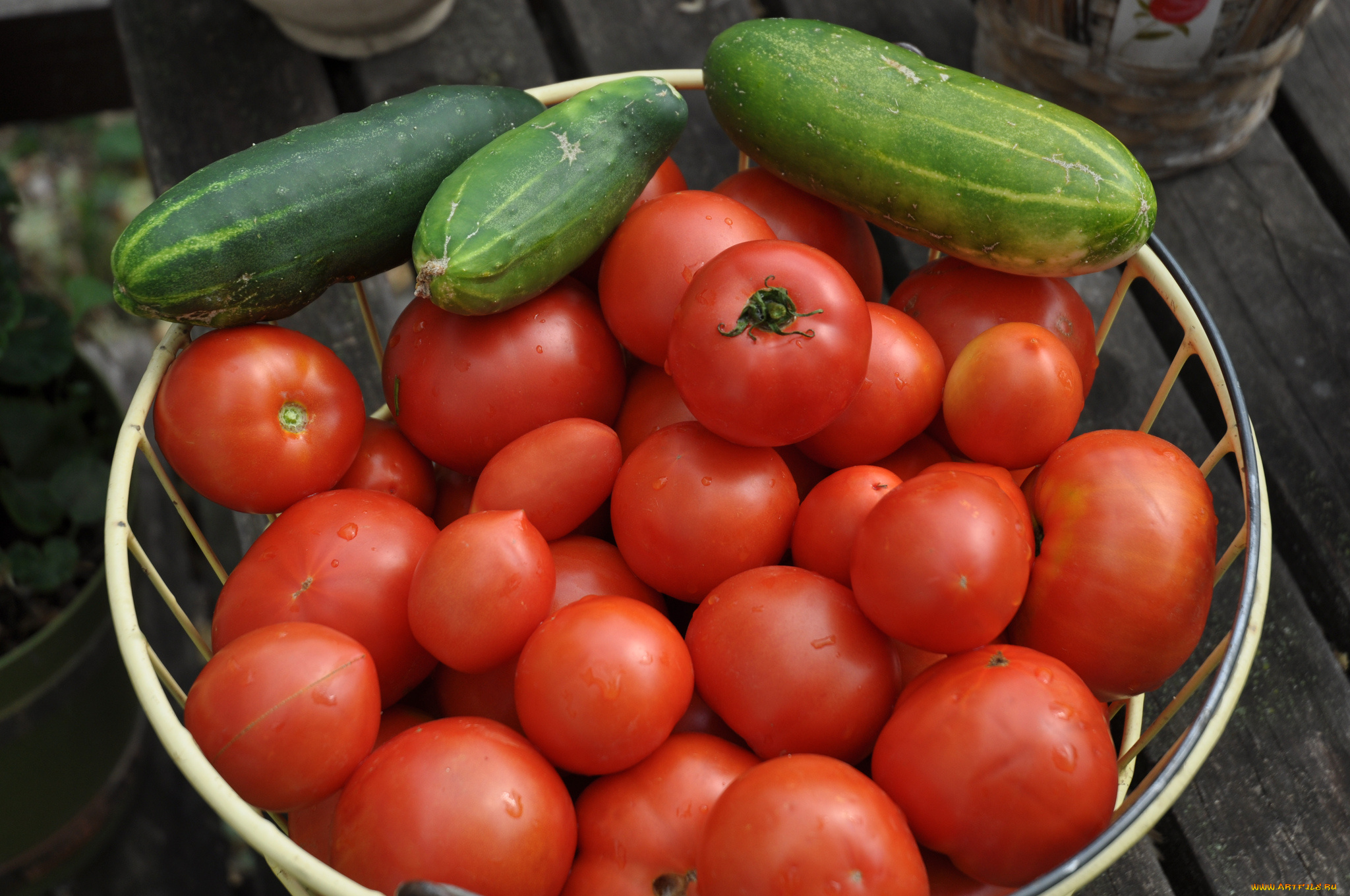 еда, овощи, томаты, помидоры