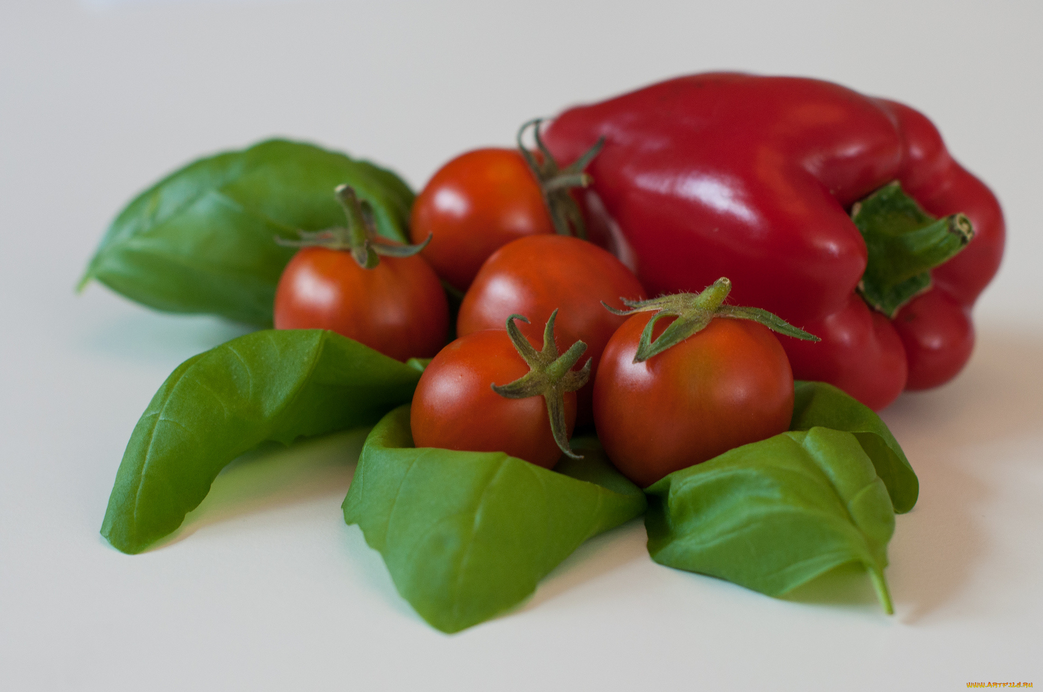 еда, овощи, томаты, помидоры