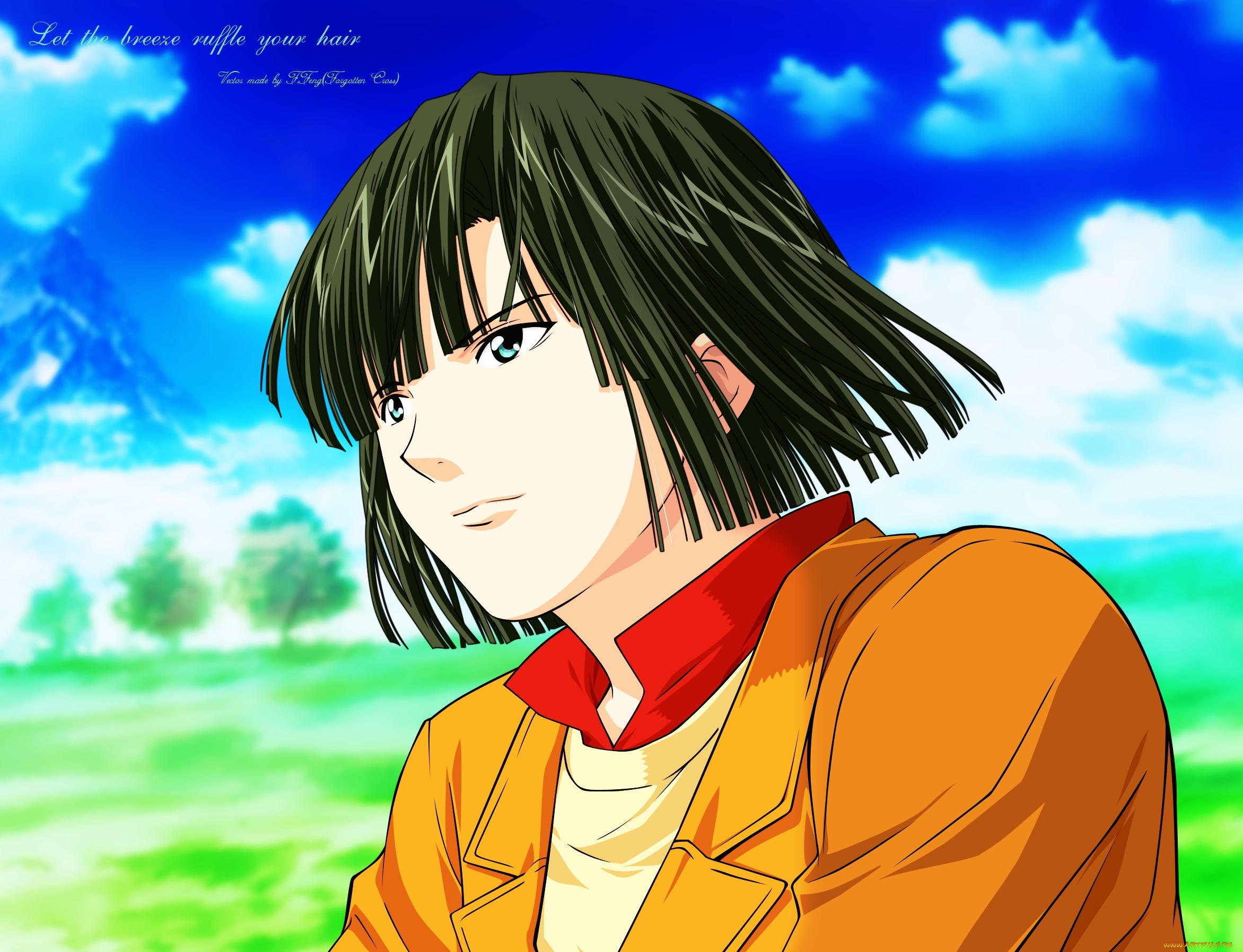 аниме, hikaru, no, go, touya, akira