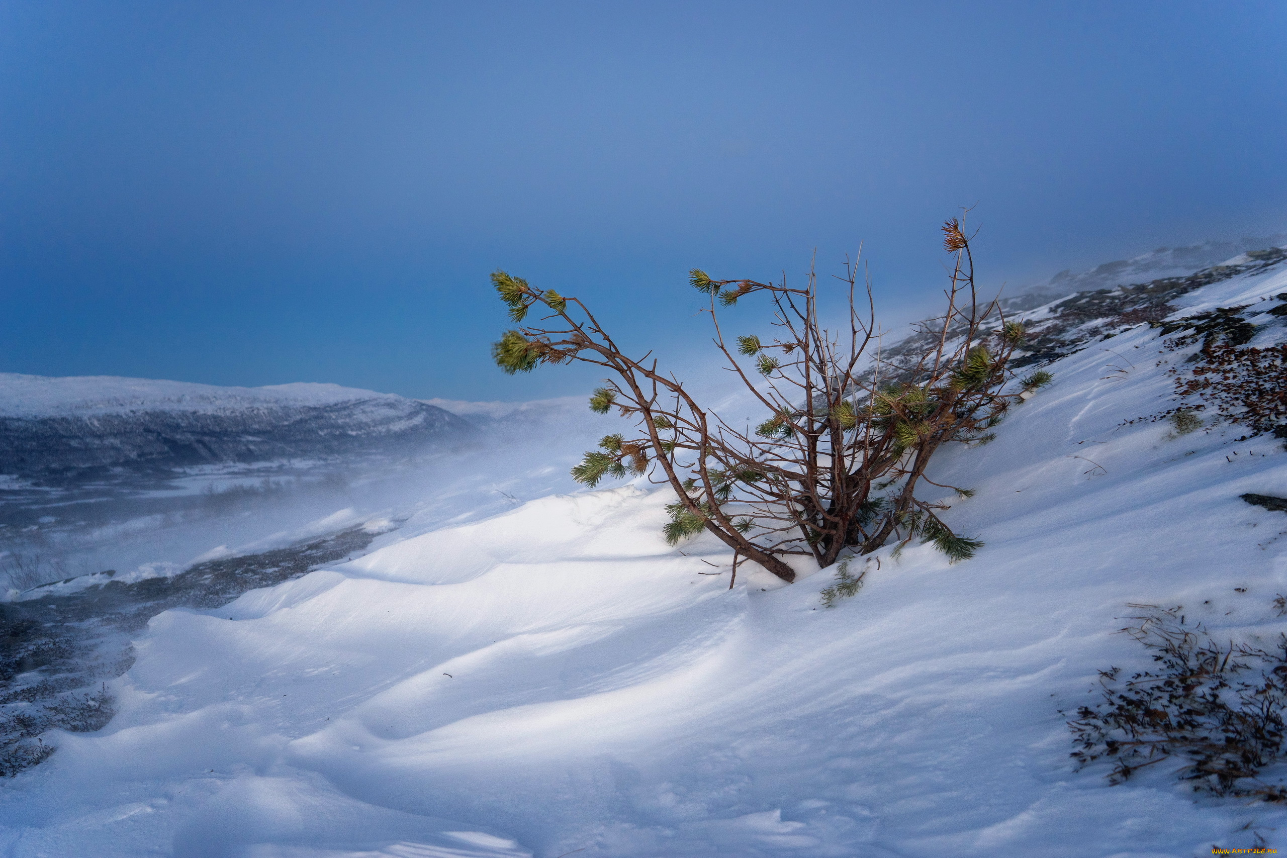 природа, зима, снег