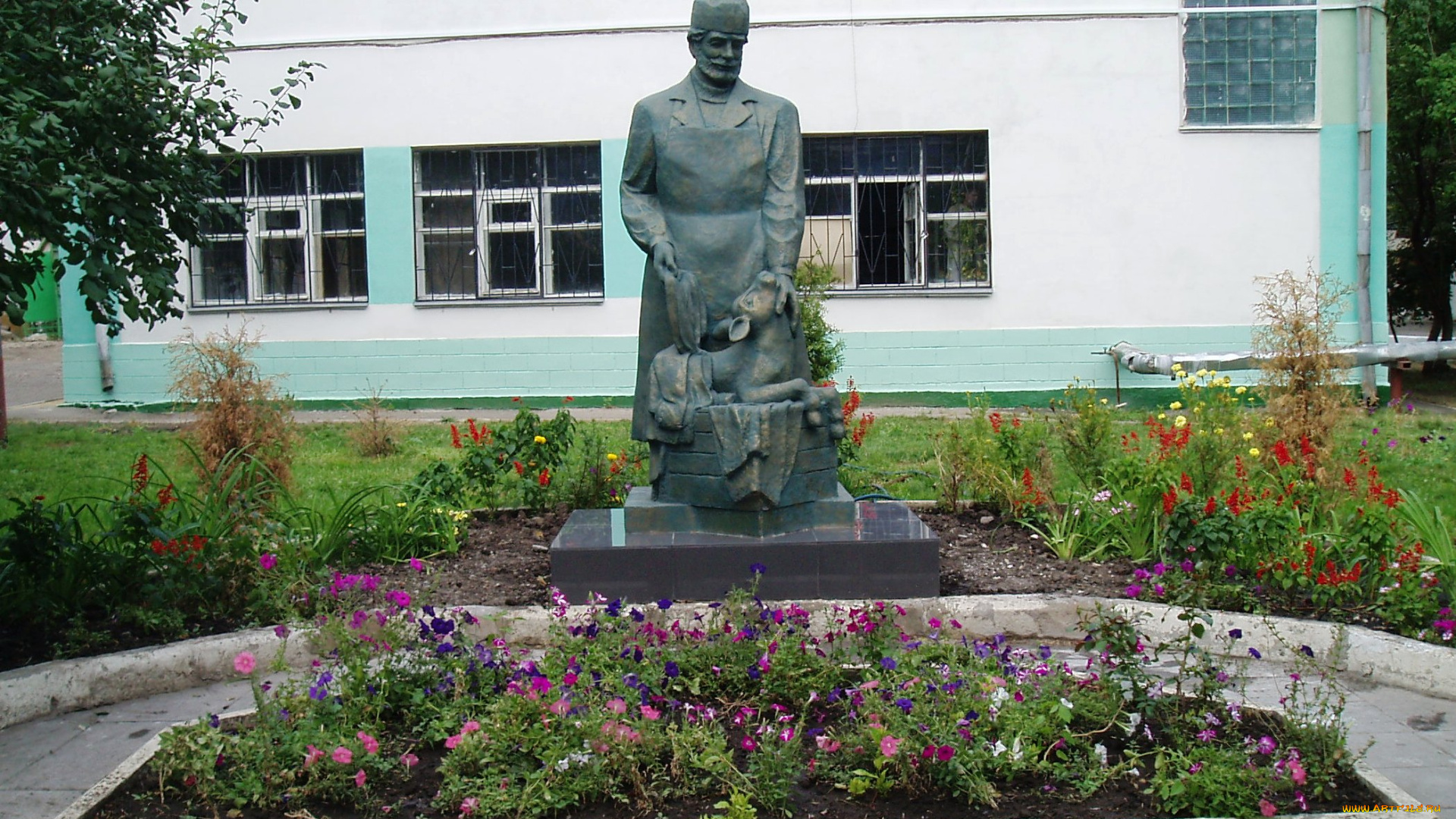 города, -, памятники, , скульптуры, , арт-объекты, город, скульптура, памятник, памятник, ветеринару, россия, саратов