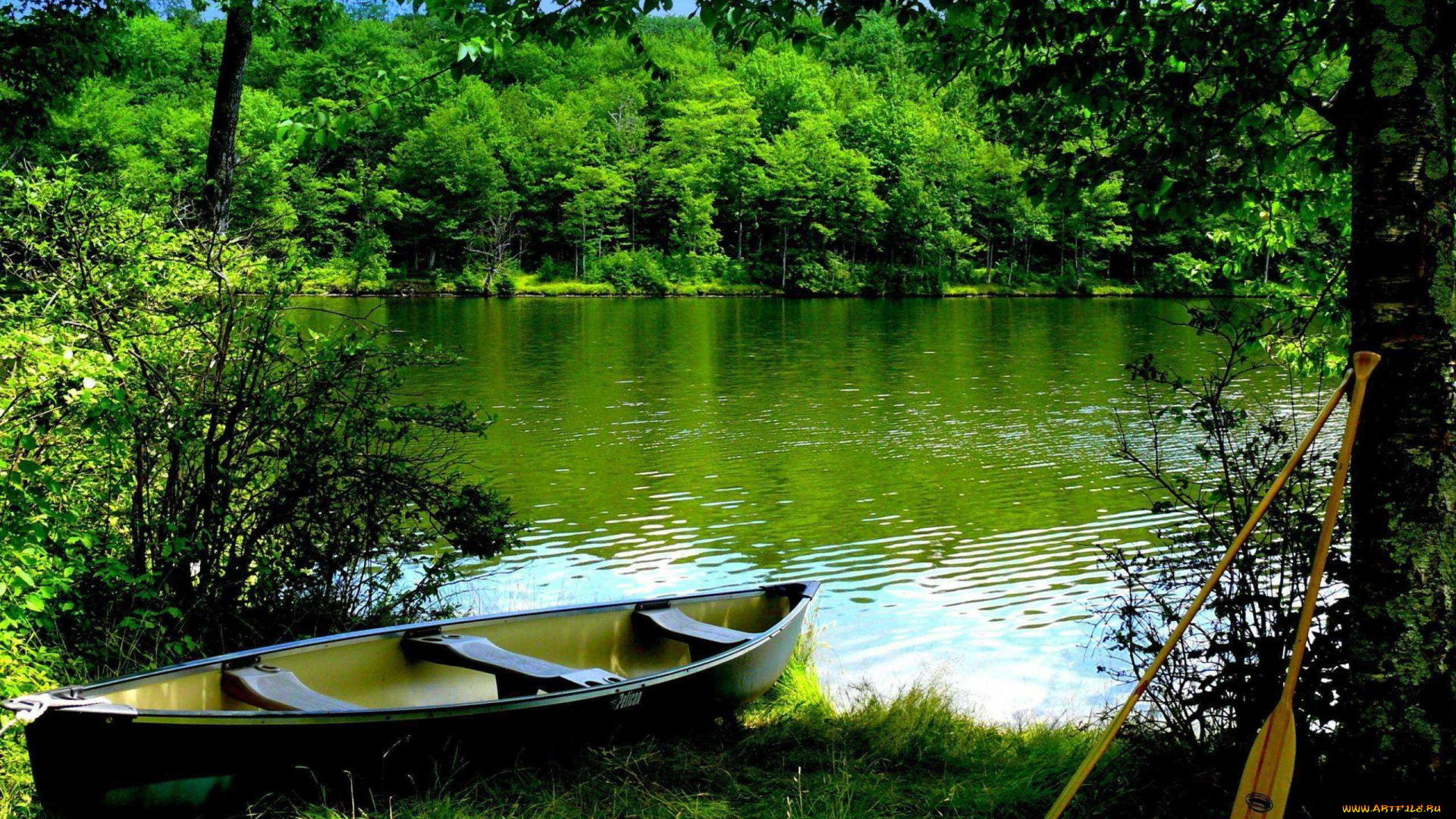 корабли, лодки, , шлюпки, деревья, трава, весла, берег, лодка, река, кусты