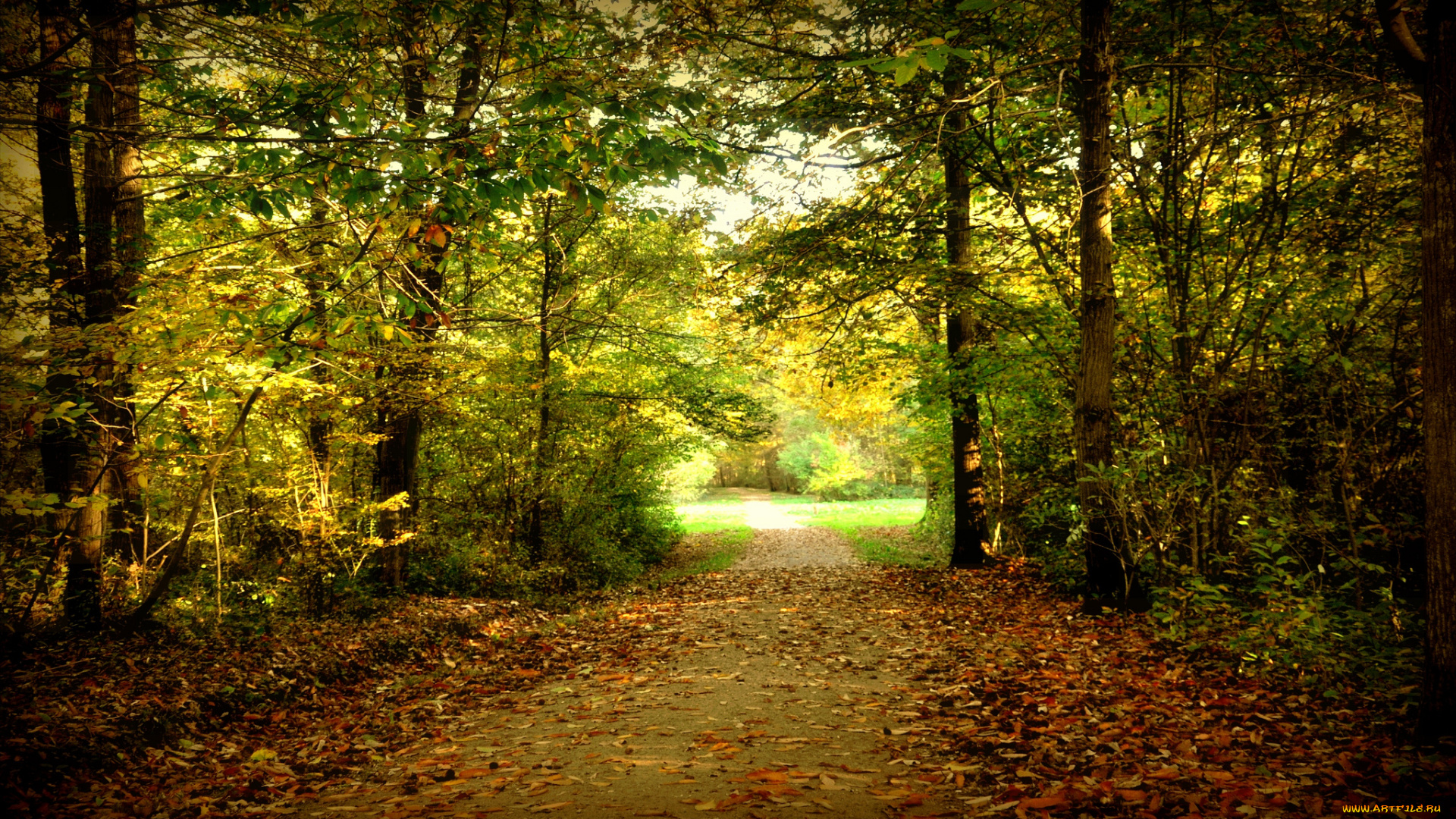 природа, дороги, простор