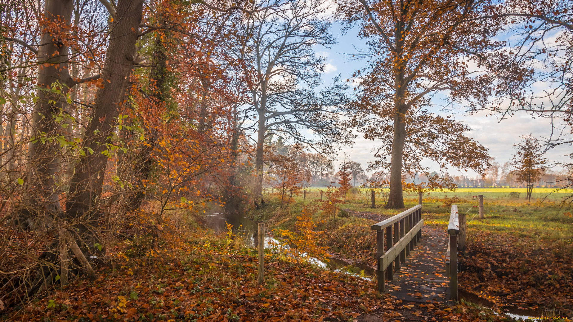 природа, пейзажи, простор