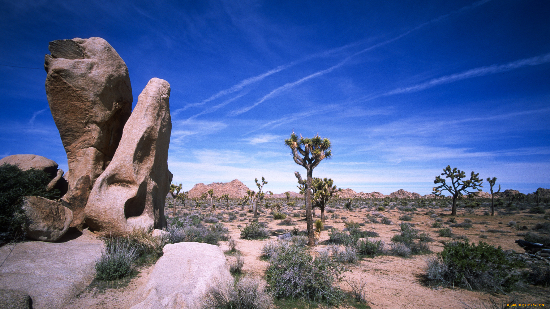 природа, пустыни, простор