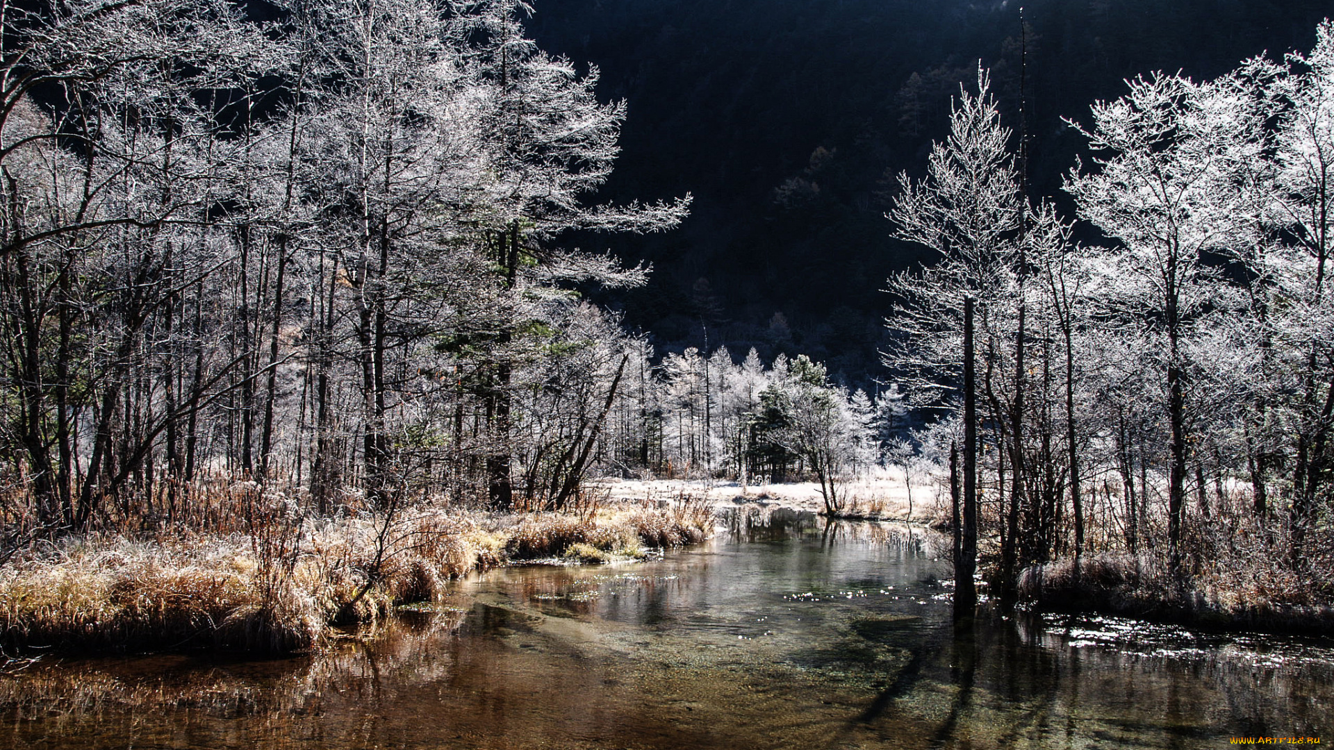 природа, реки, озера, простор