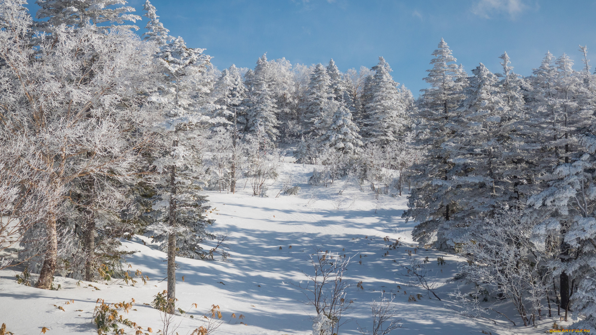 природа, зима, простор