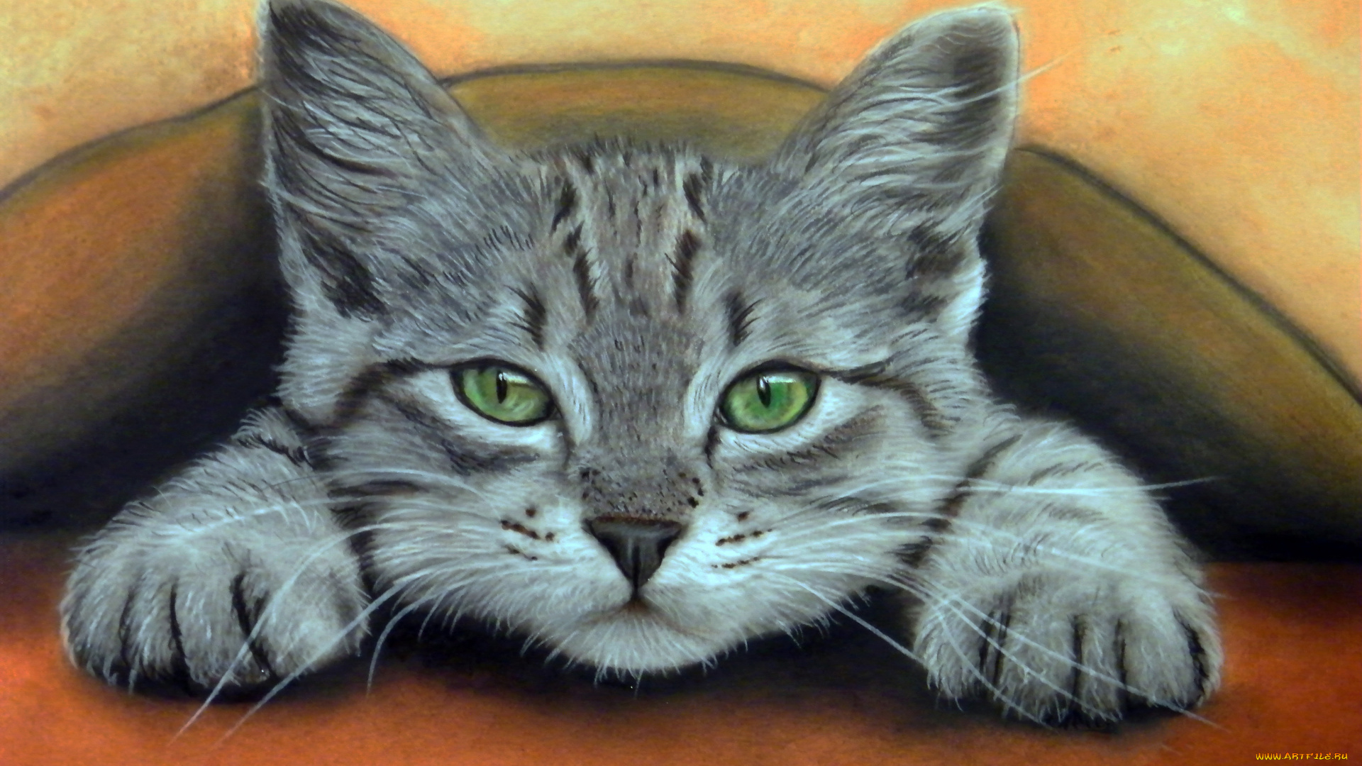 рисованное, животные, , коты, взгляд, фон, котенок