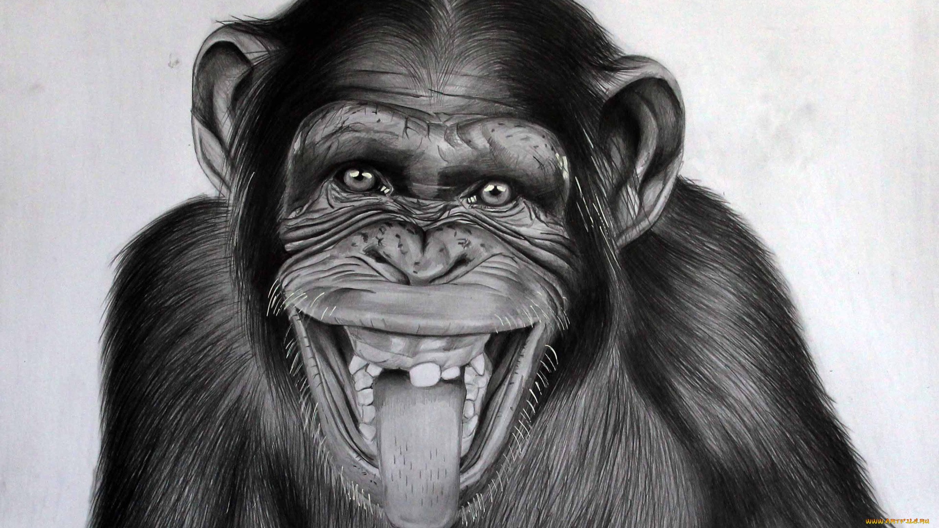 рисованное, животные, взгляд, фон, обезьяна, язык