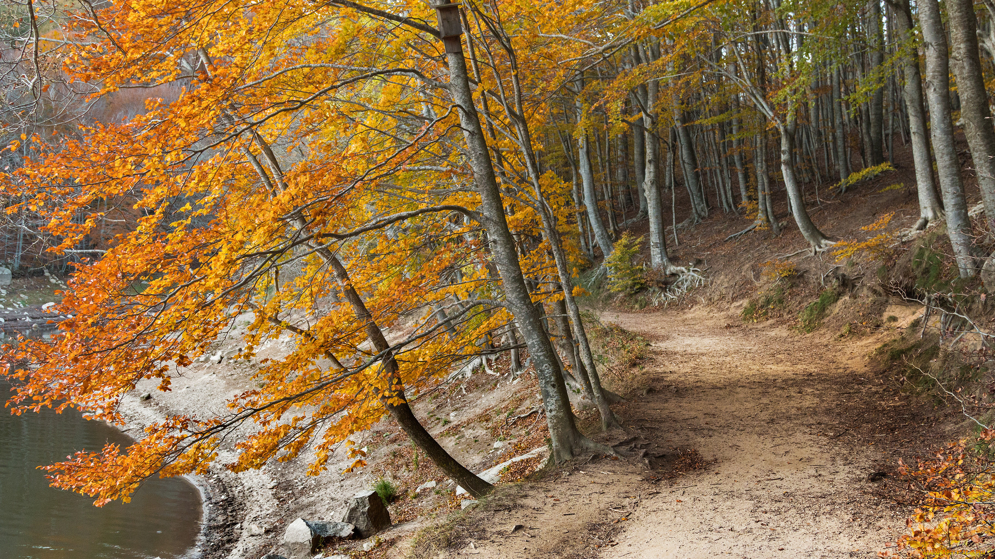 природа, дороги, простор