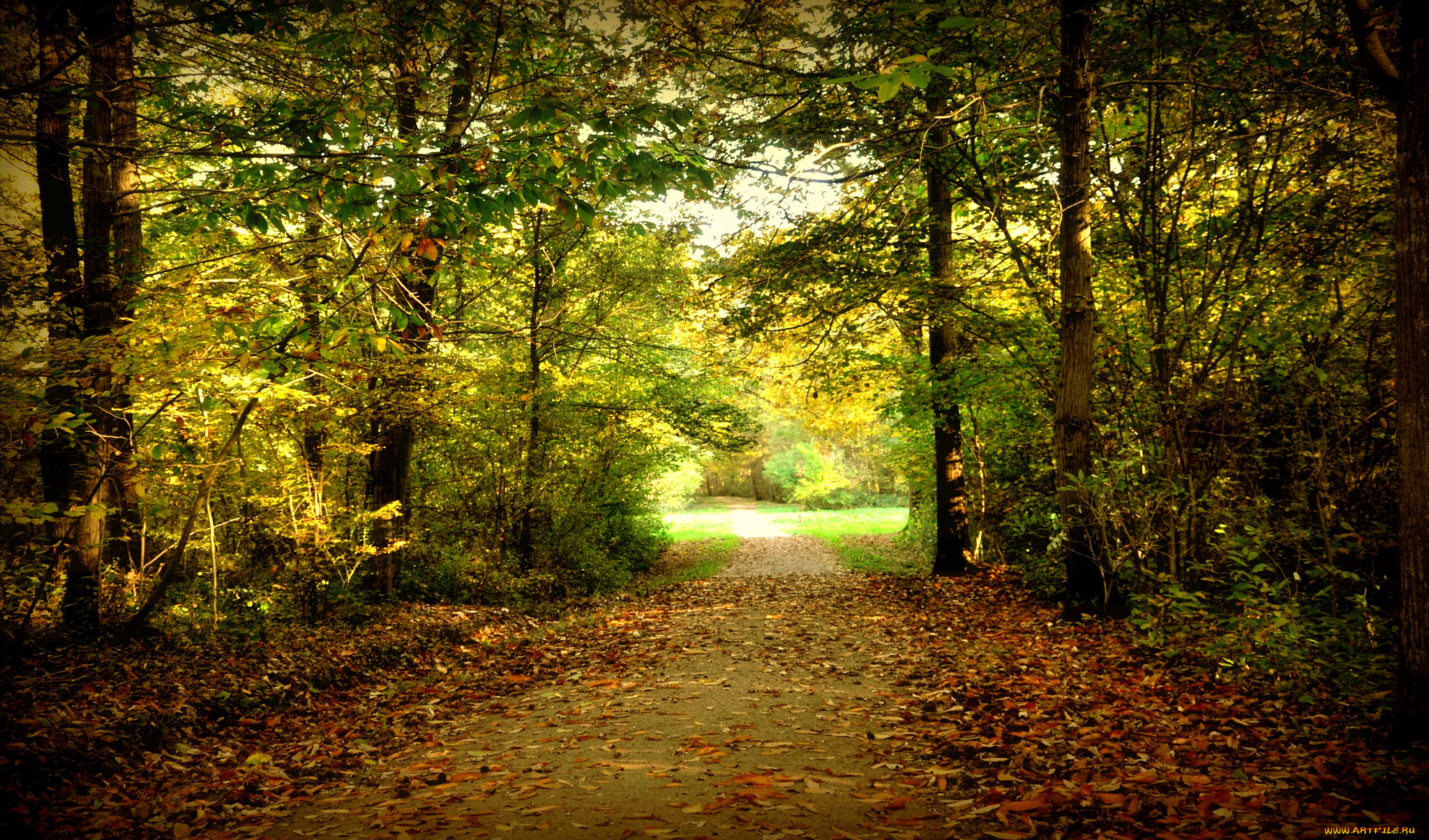 природа, дороги, простор