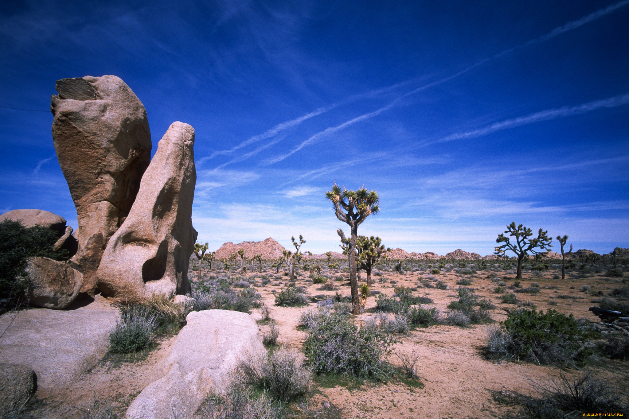 природа, пустыни, простор