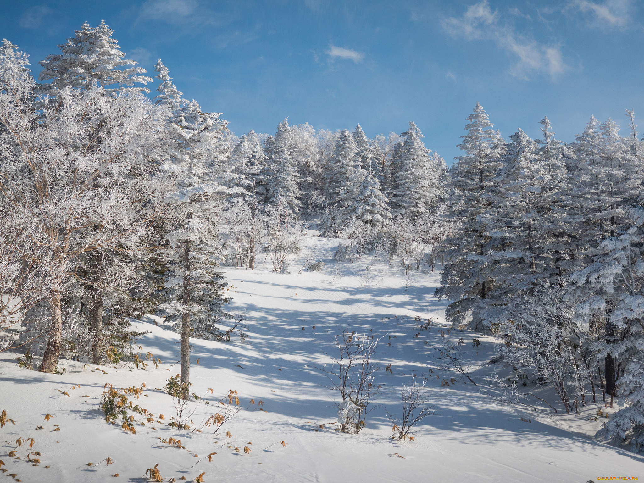 природа, зима, простор