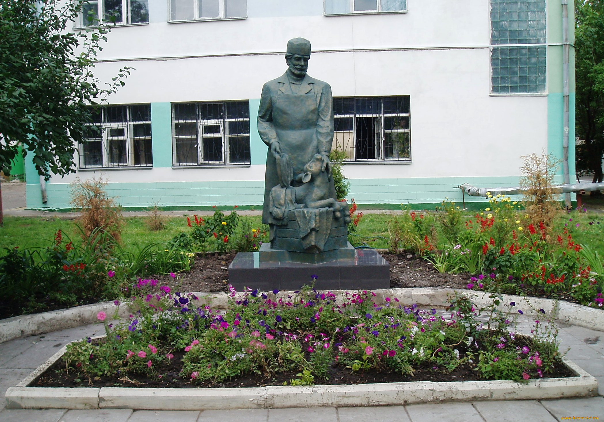 города, -, памятники, , скульптуры, , арт-объекты, город, скульптура, памятник, памятник, ветеринару, россия, саратов