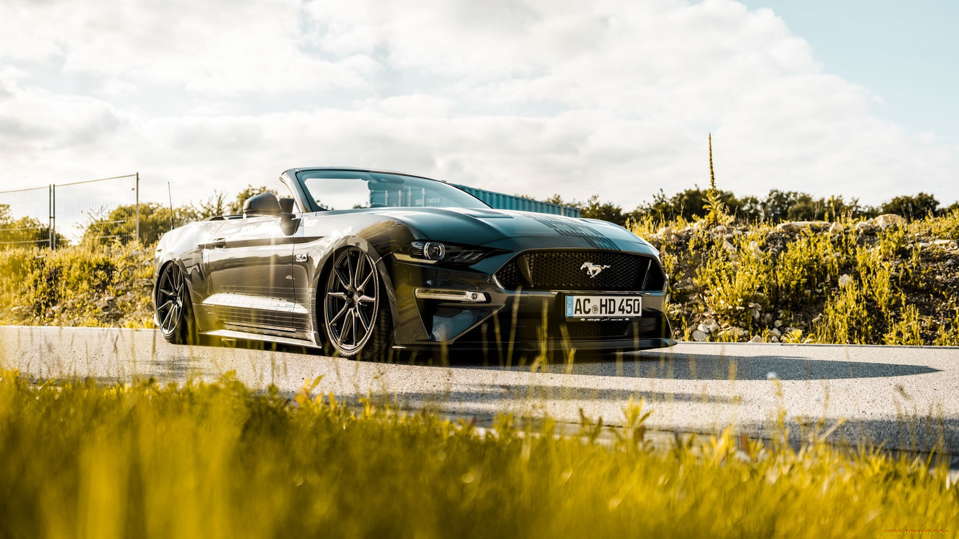 автомобили, mustang, ford