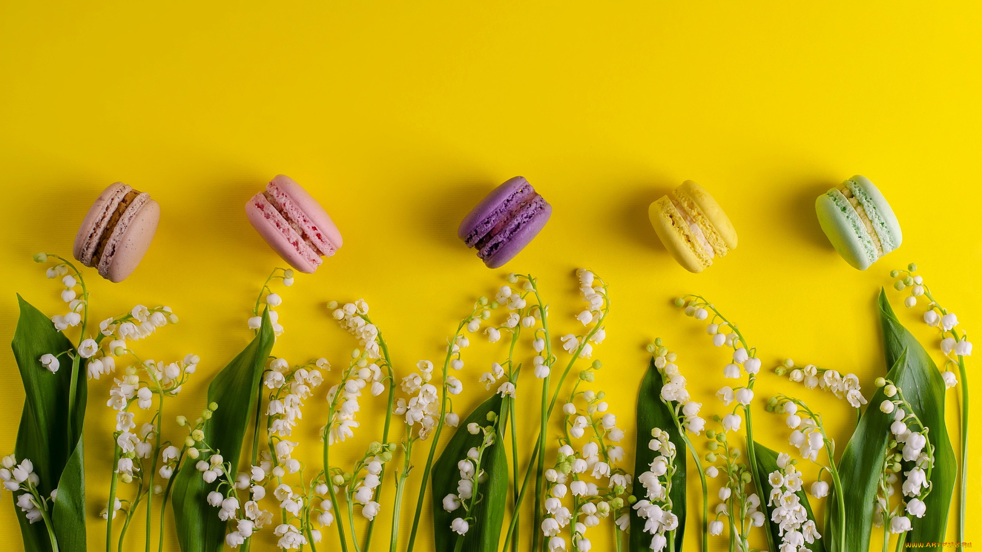 еда, макаруны, ландыши, лакомство
