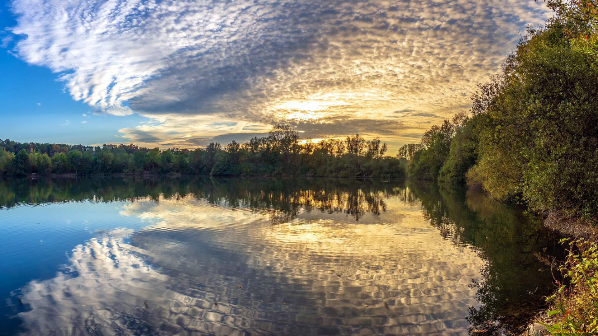 природа, реки, озера, река